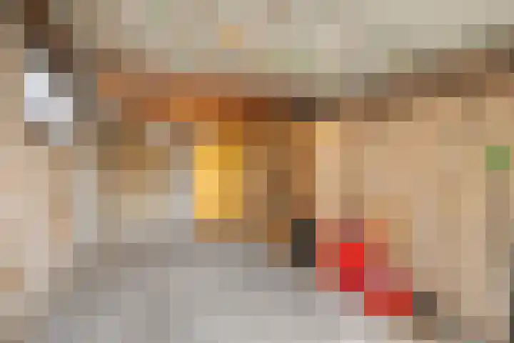 de Cingel 16 Heino thumbnail 37