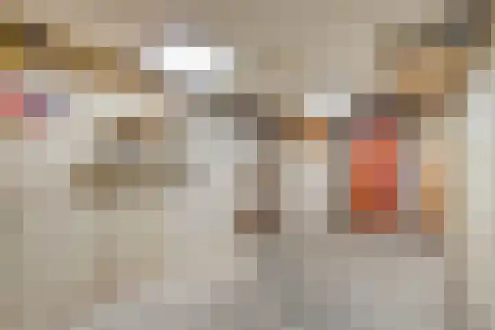 de Cingel 16 Heino thumbnail 38