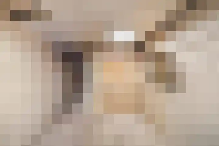 de Cingel 16 Heino thumbnail 39