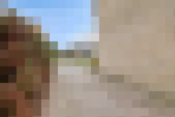 de Cingel 16 Heino thumbnail 6