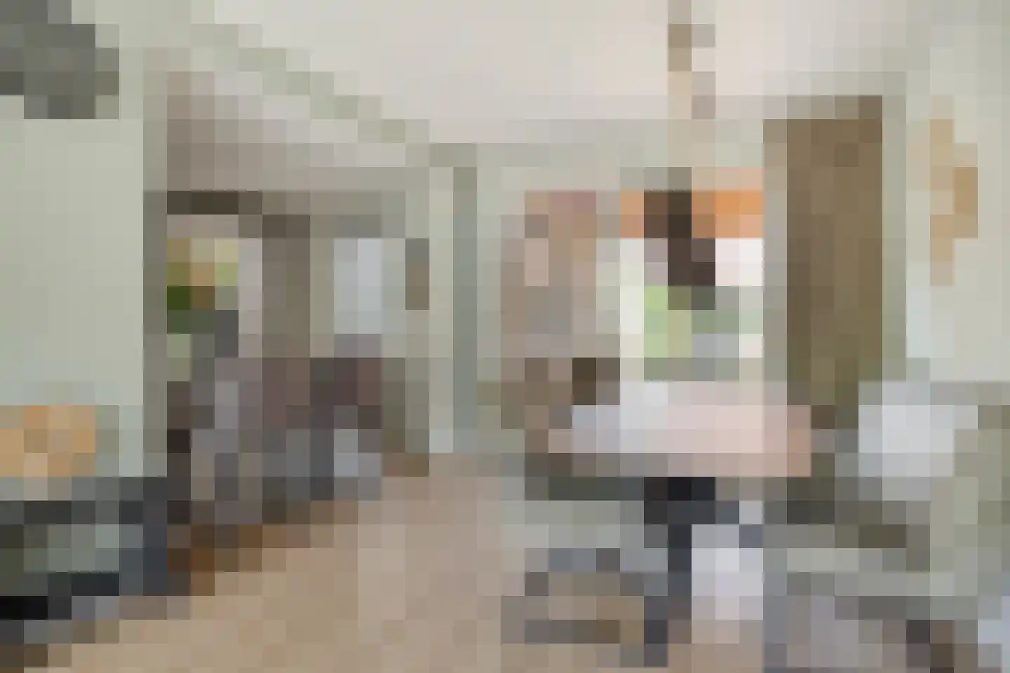 de Cingel 40 Heino thumbnail 7