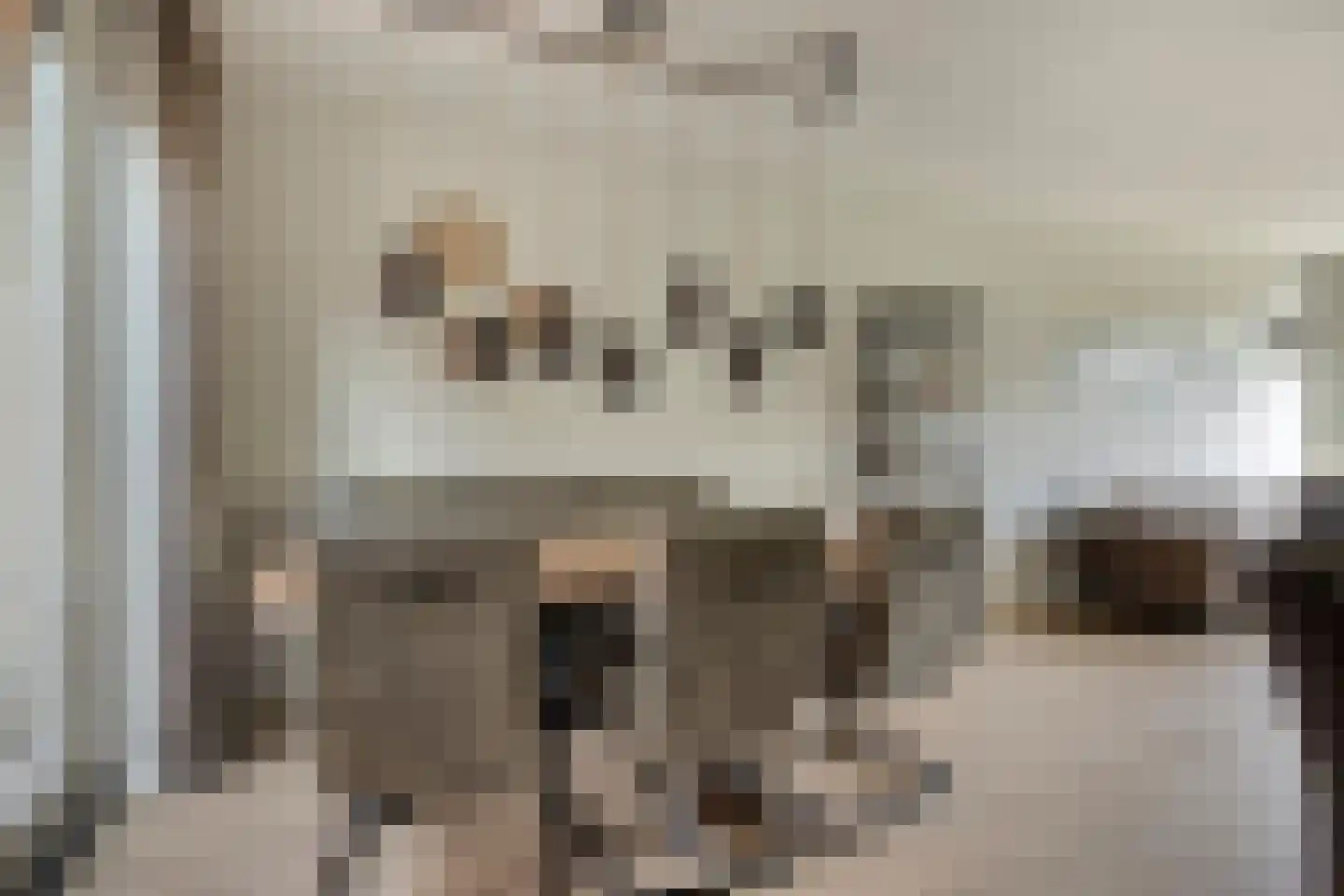 de Cingel 40 Heino thumbnail 8