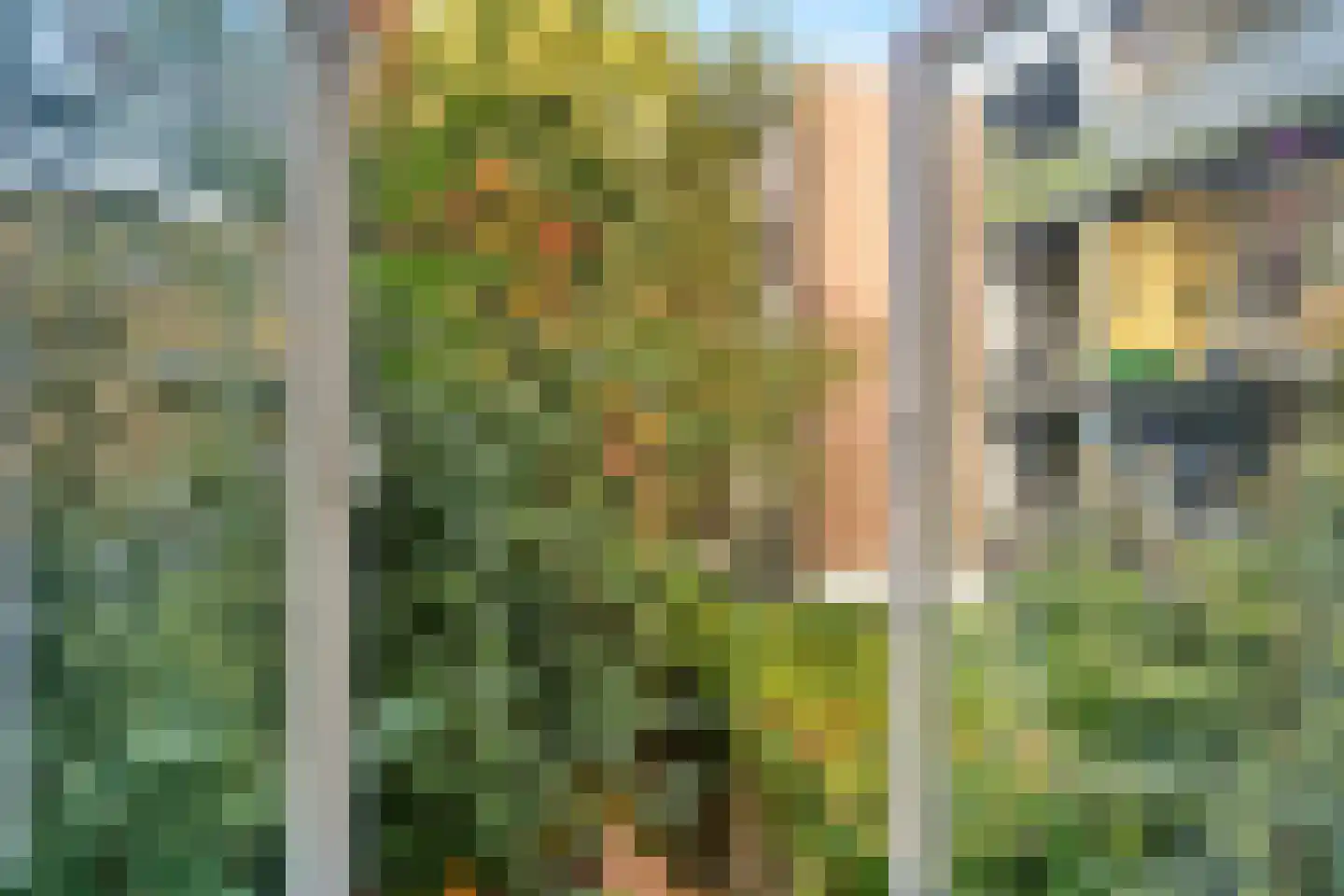 De Clercqstraat 102 1 Amsterdam thumbnail 12