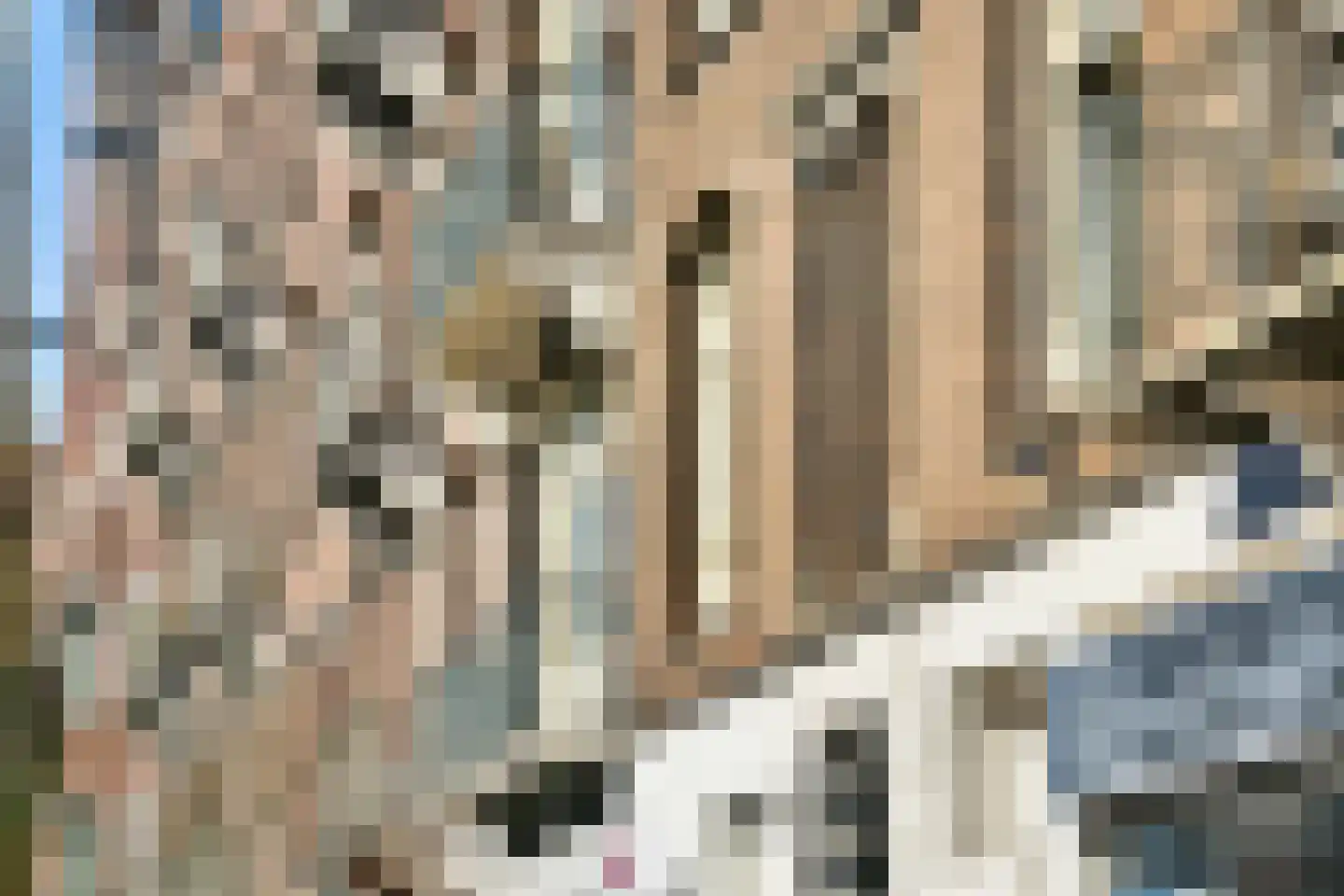 De Clercqstraat 102 1 Amsterdam thumbnail 23
