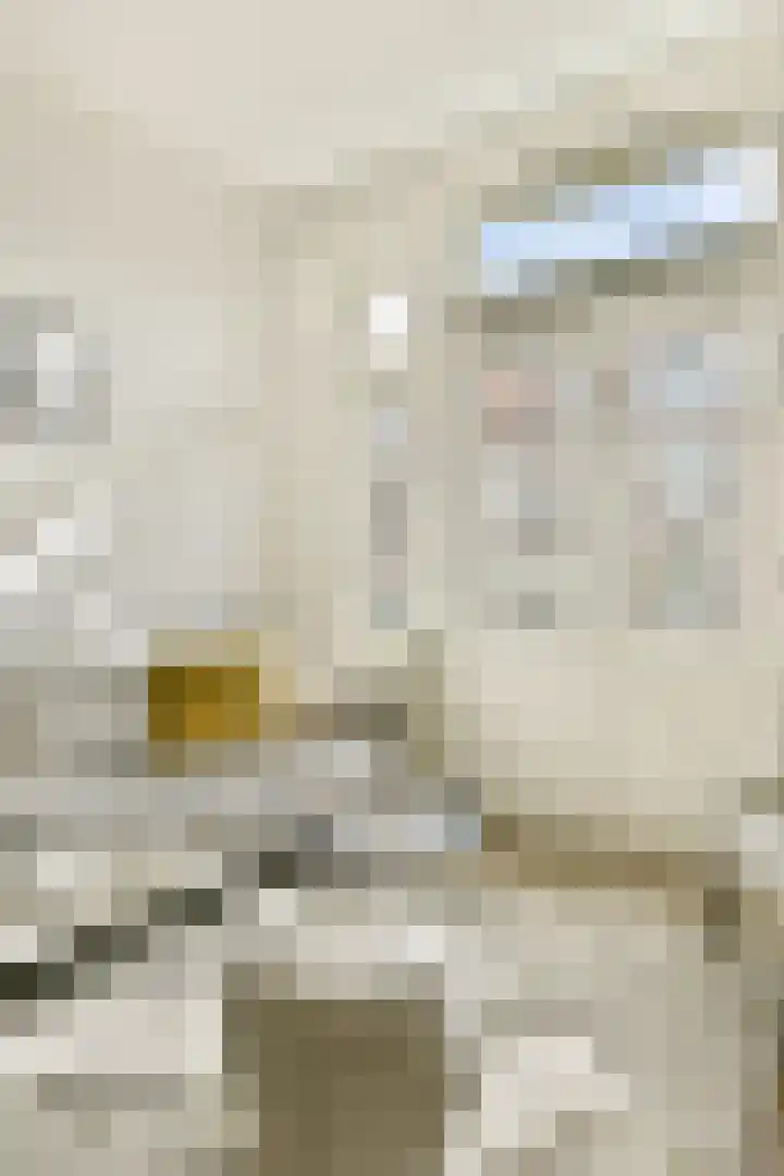 De Clercqstraat 102 2 Amsterdam thumbnail 5