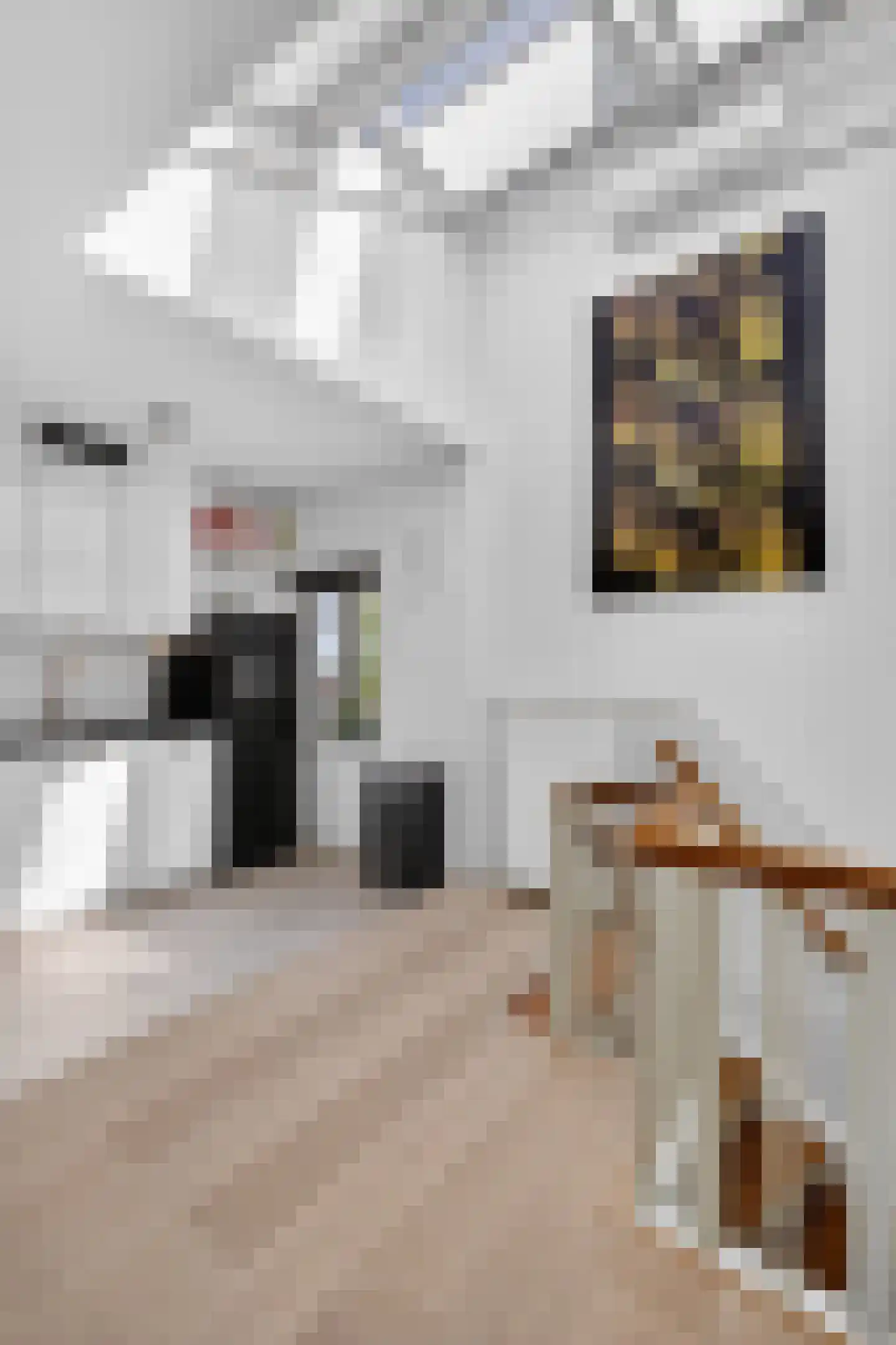 De Clercqstraat 134 2 Amsterdam thumbnail 7