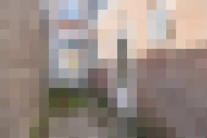 De Clercqstraat 137 Haarlem thumbnail 23