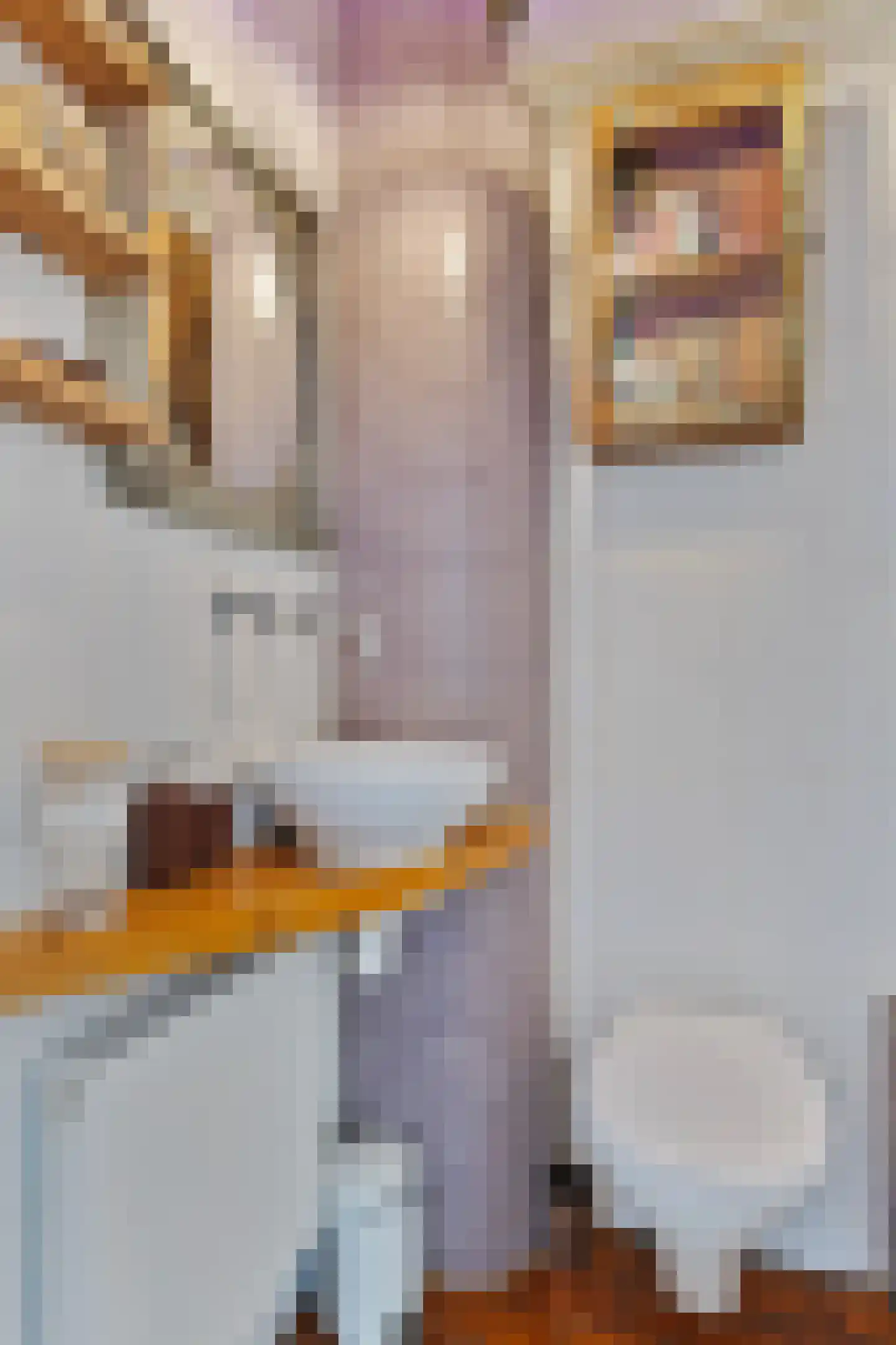 De Clercqstraat 16 1 Amsterdam thumbnail 18
