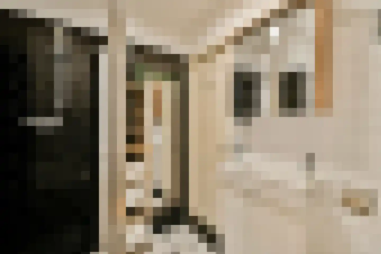 De Clercqstraat 27 1 Amsterdam thumbnail 16