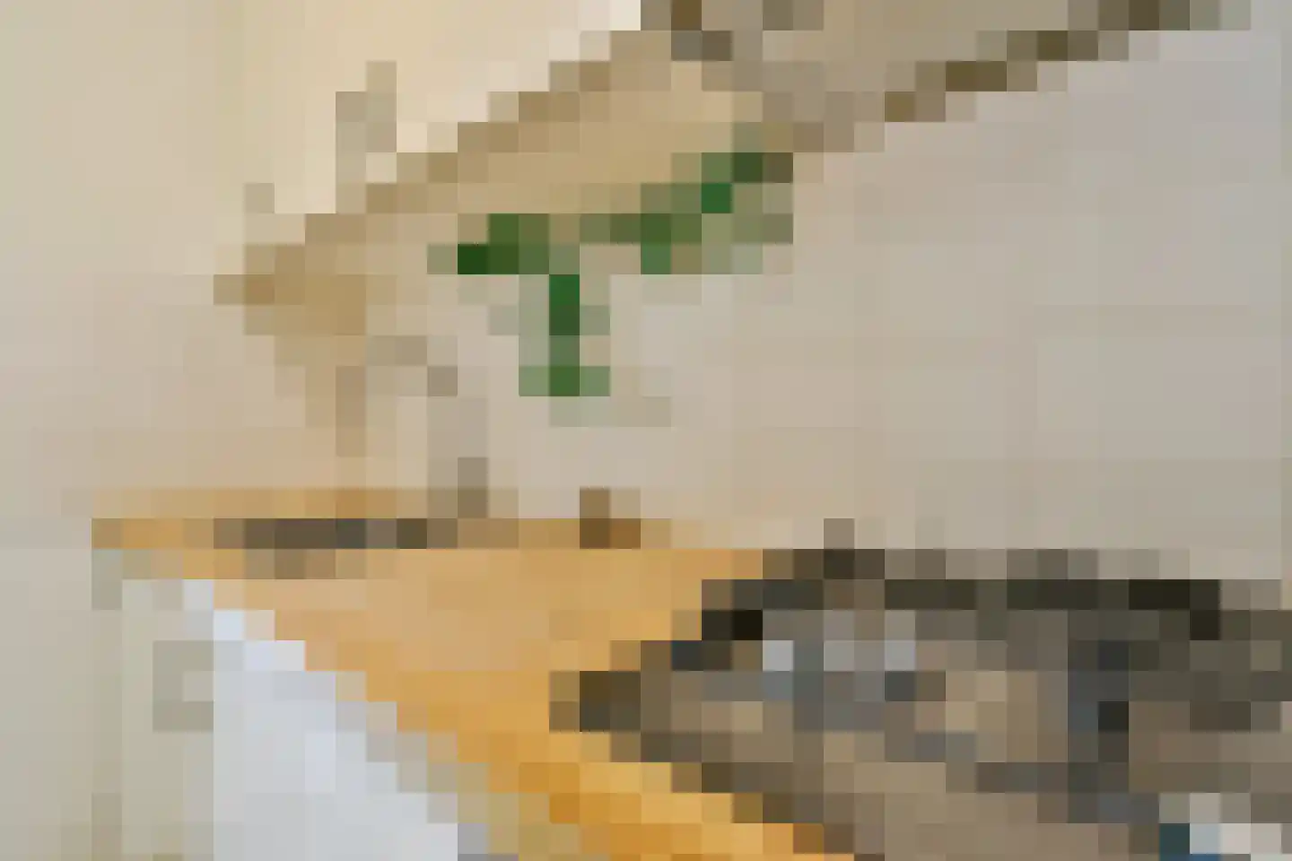 De Clercqstraat 3 1 Amsterdam thumbnail 11