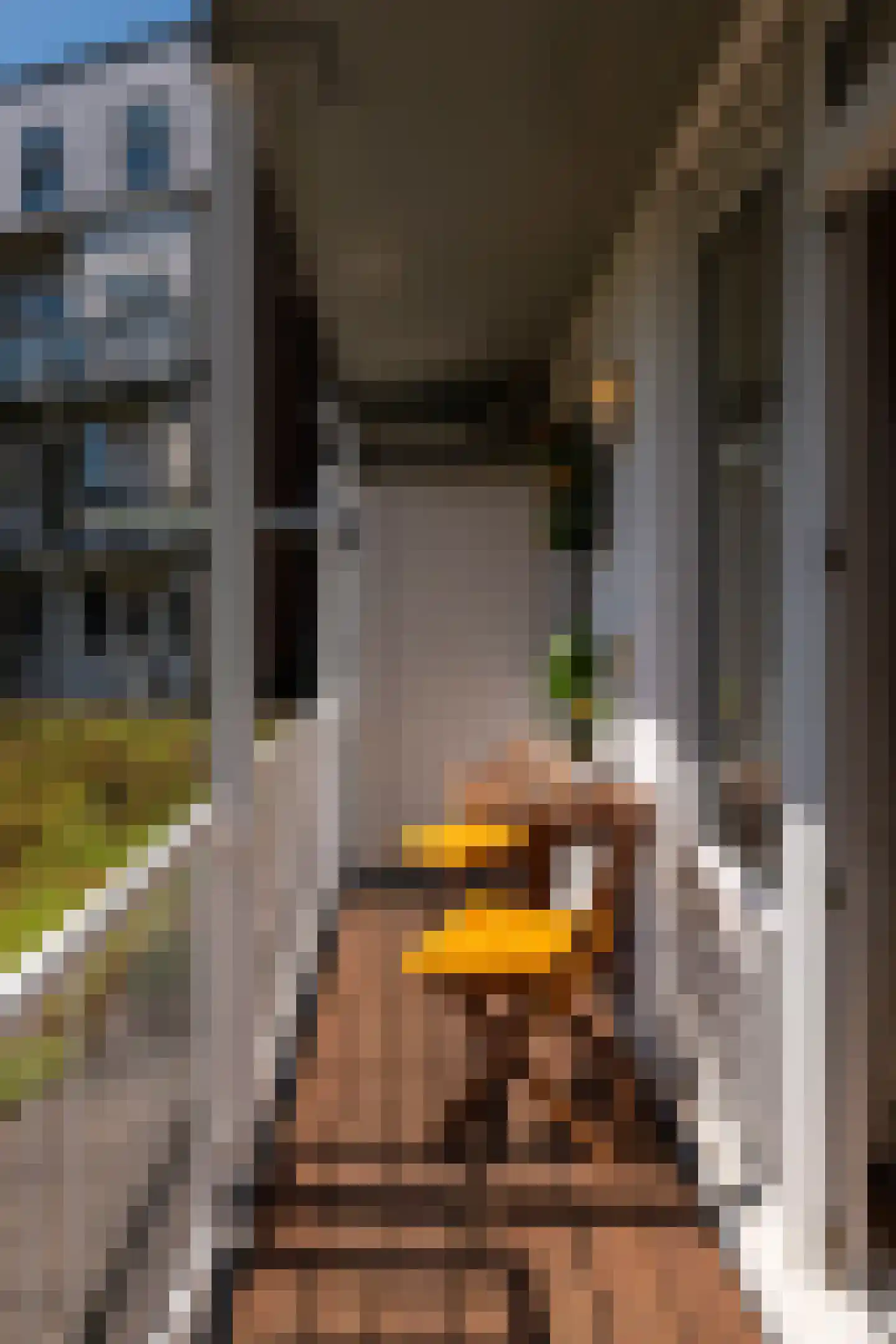De Clercqstraat 45 2 Amsterdam thumbnail 23