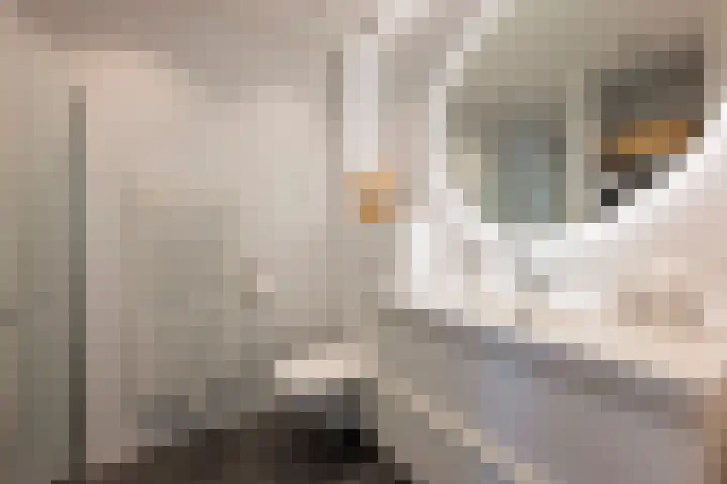 De Clercqstraat 45 2 Amsterdam thumbnail 28