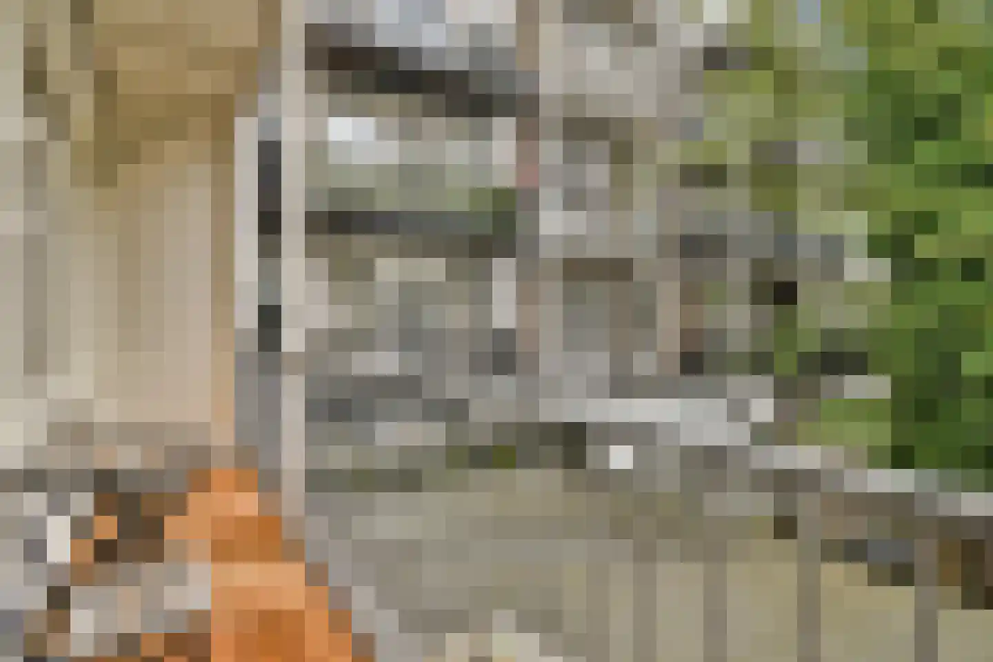 De Clercqstraat 7 1 Amsterdam thumbnail 17