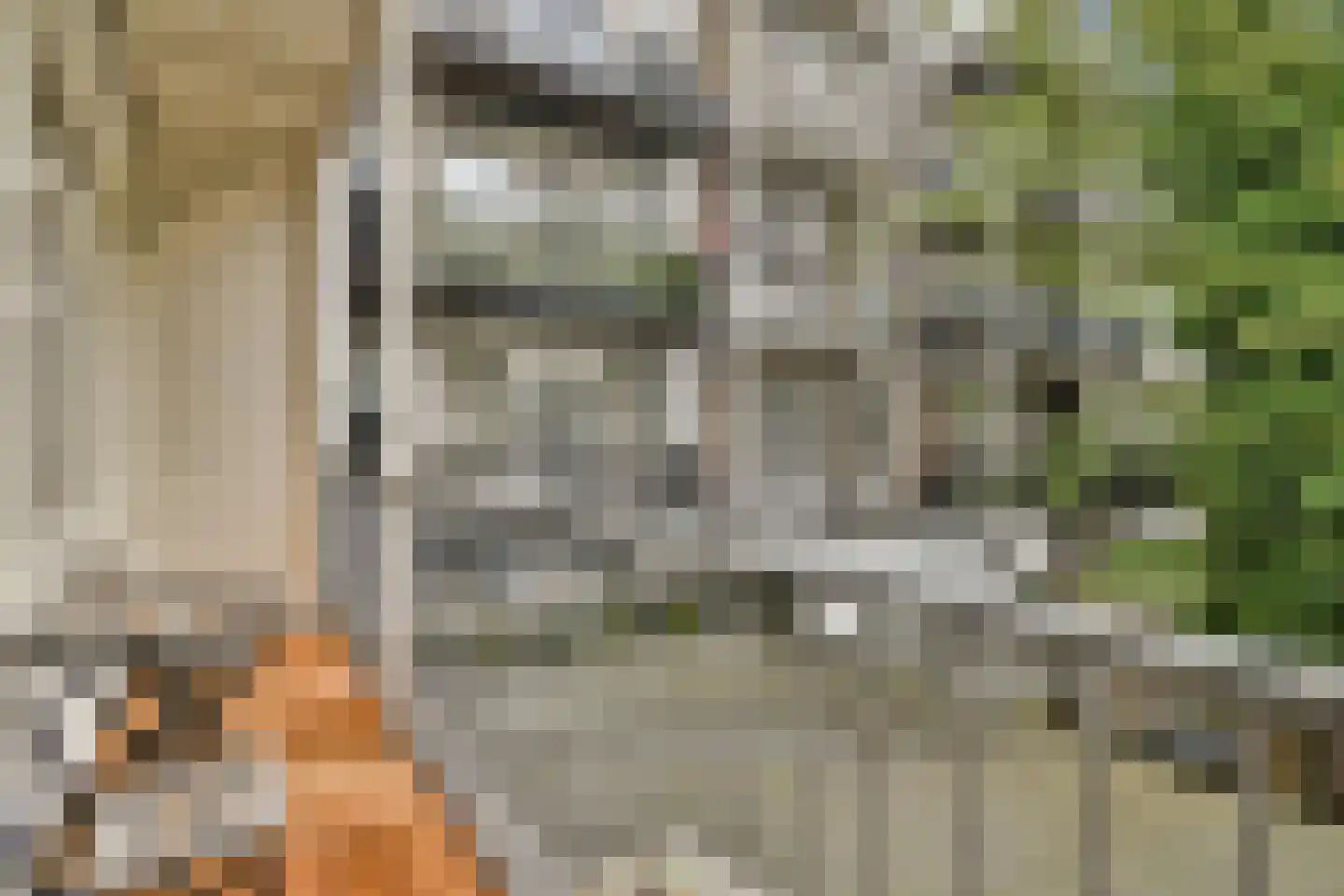 De Clercqstraat 7 1 Amsterdam thumbnail 21