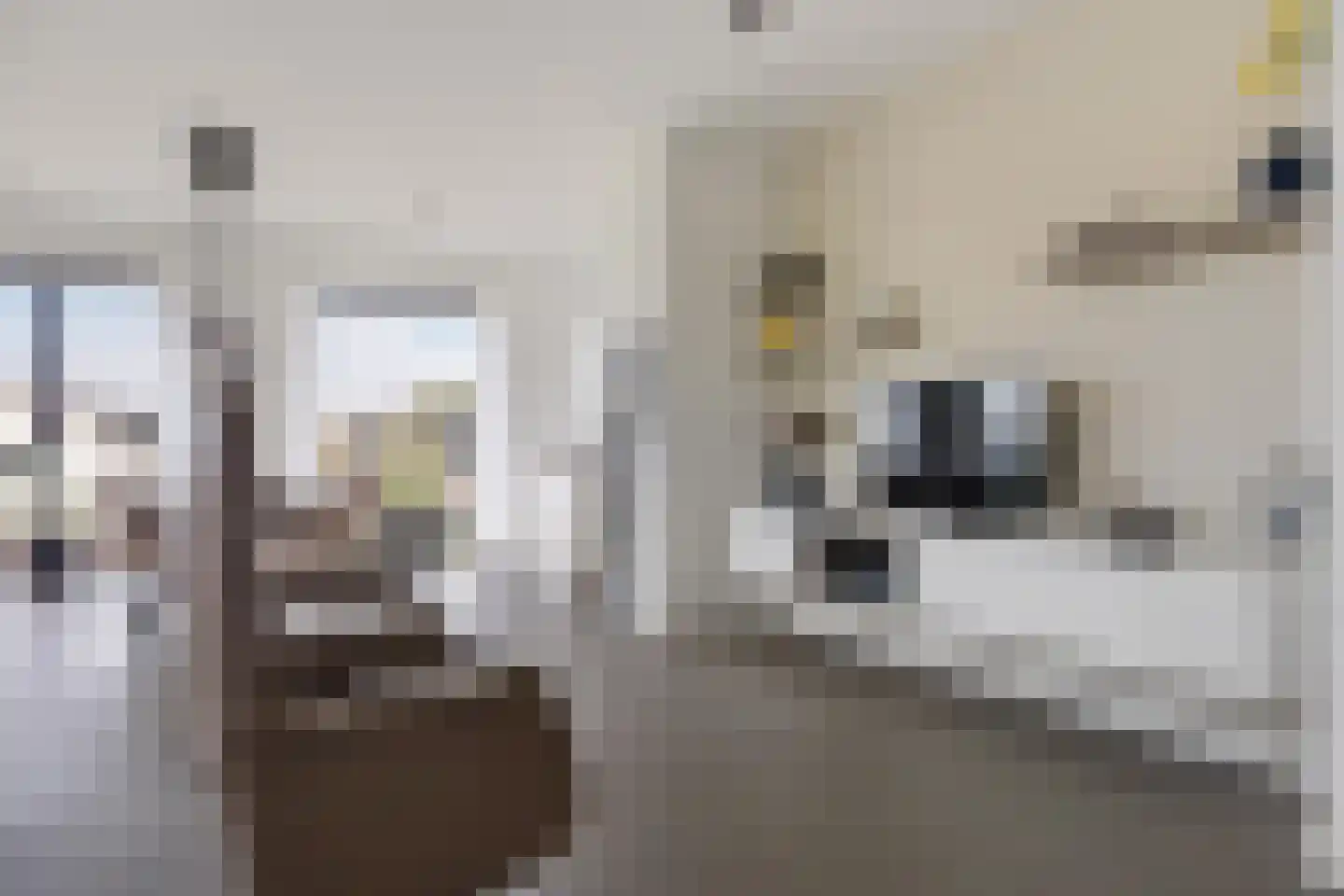 De Clercqstraat 8 Zutphen thumbnail 13