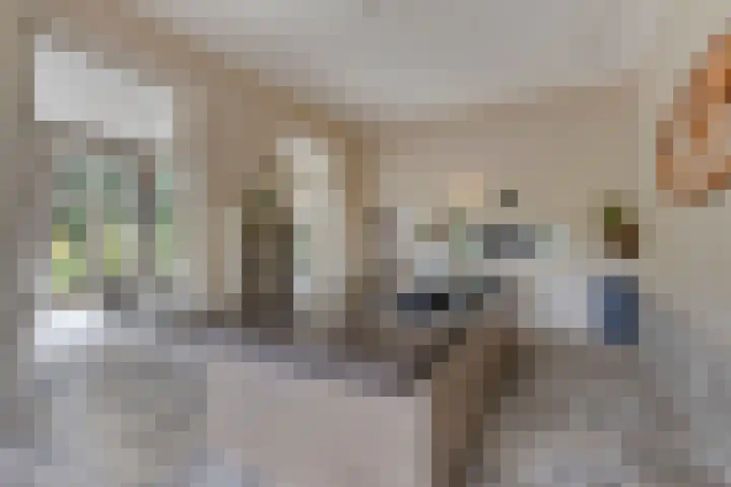 De Cloese 1 a Lochem thumbnail 12