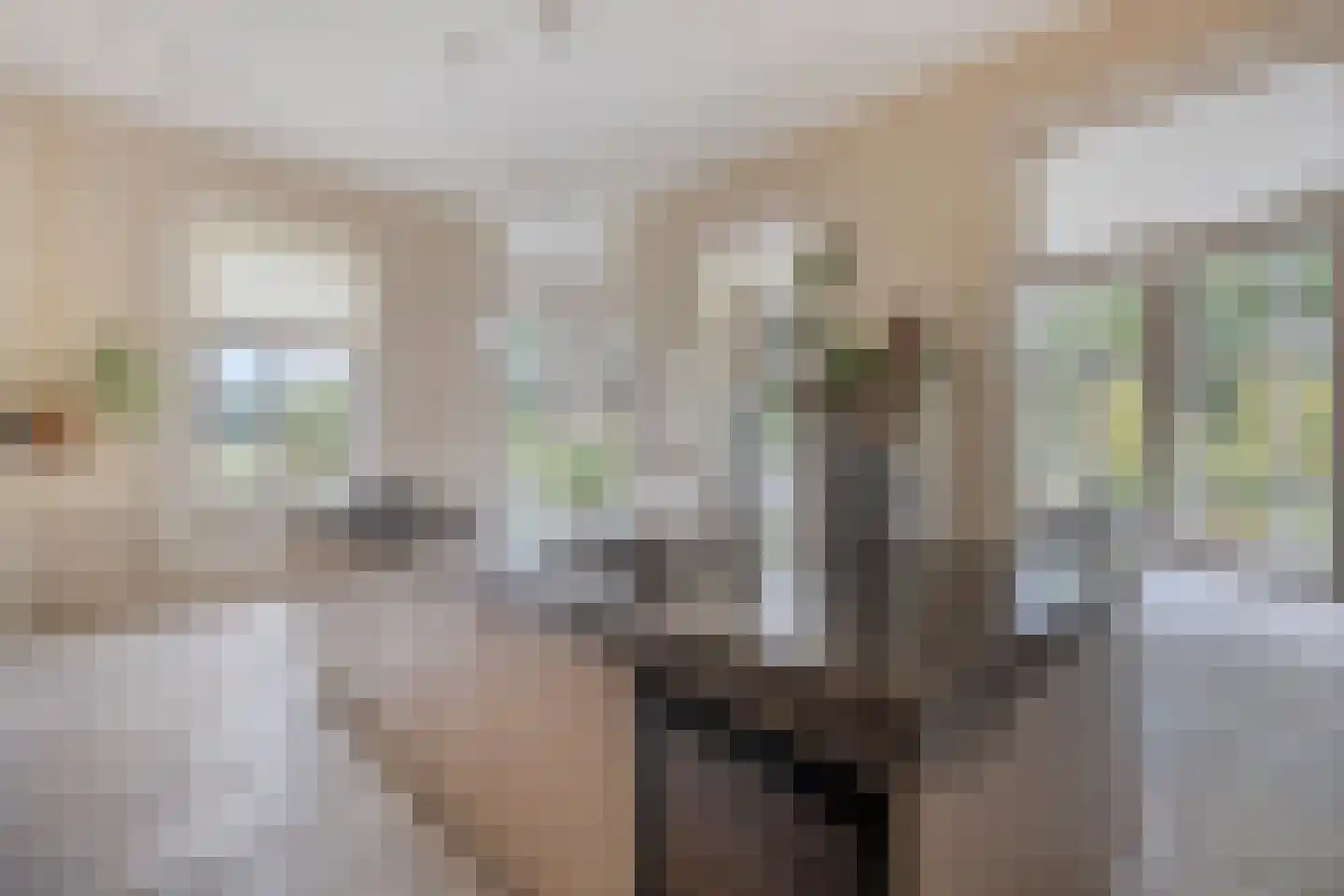 De Cloese 1 a Lochem thumbnail 14