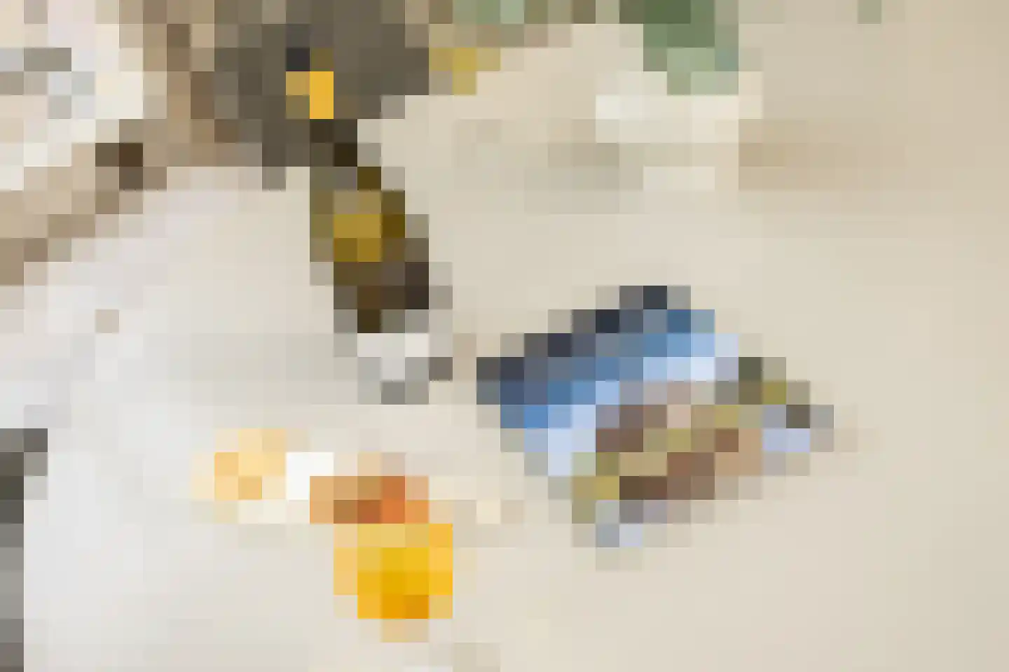 De Cloese 1 a Lochem thumbnail 18