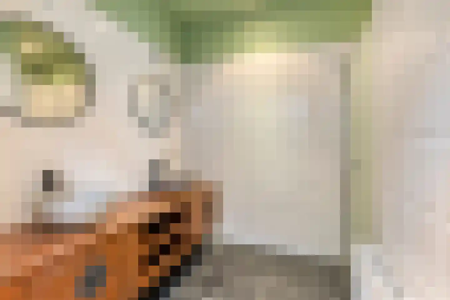 De Cloese 1 a Lochem thumbnail 37
