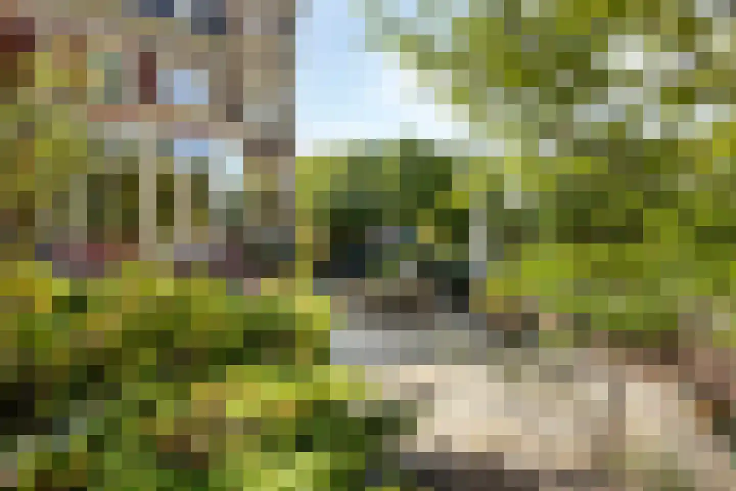 De Cloese 1 a Lochem thumbnail 44