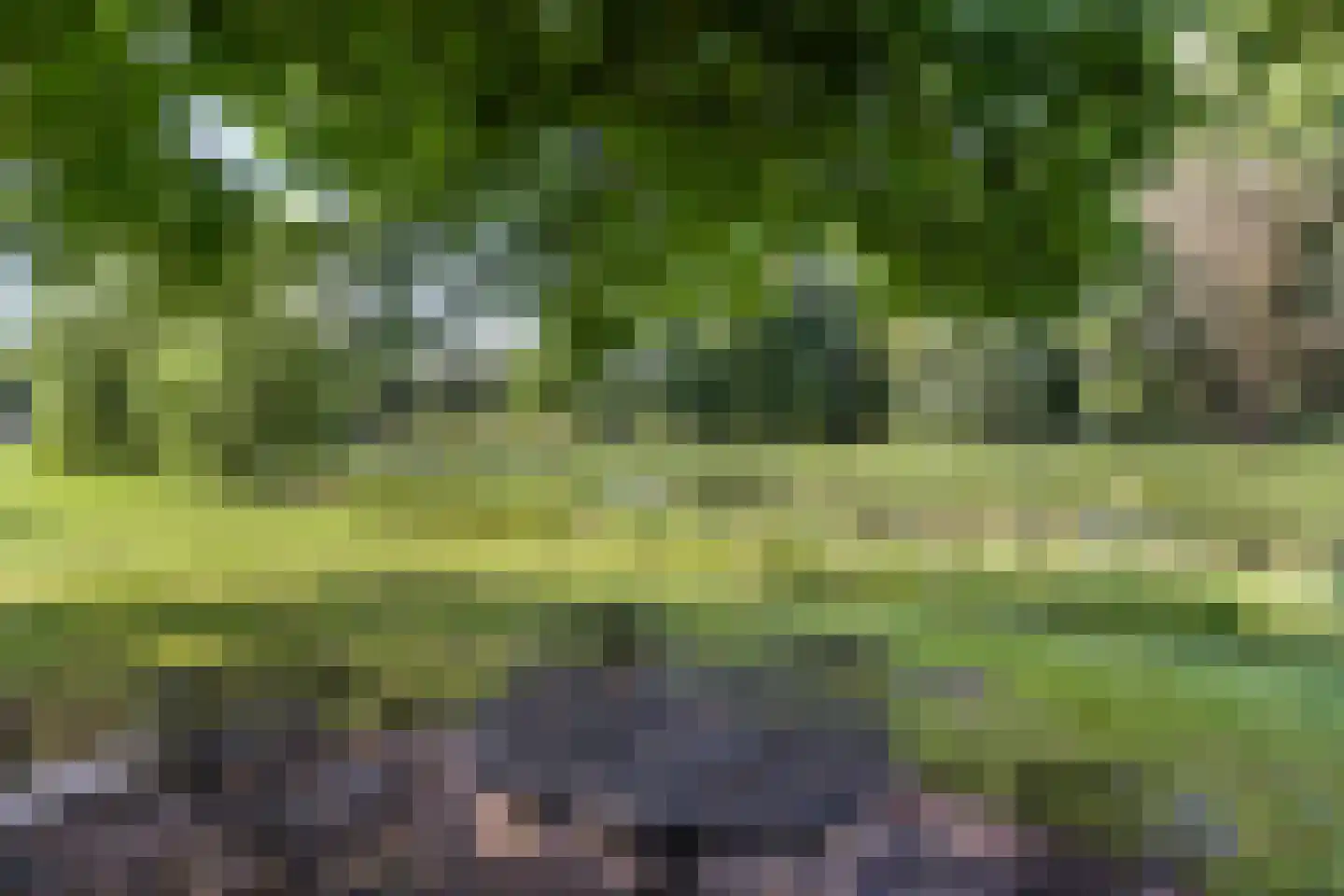 De Cloese 1 a Lochem thumbnail 46