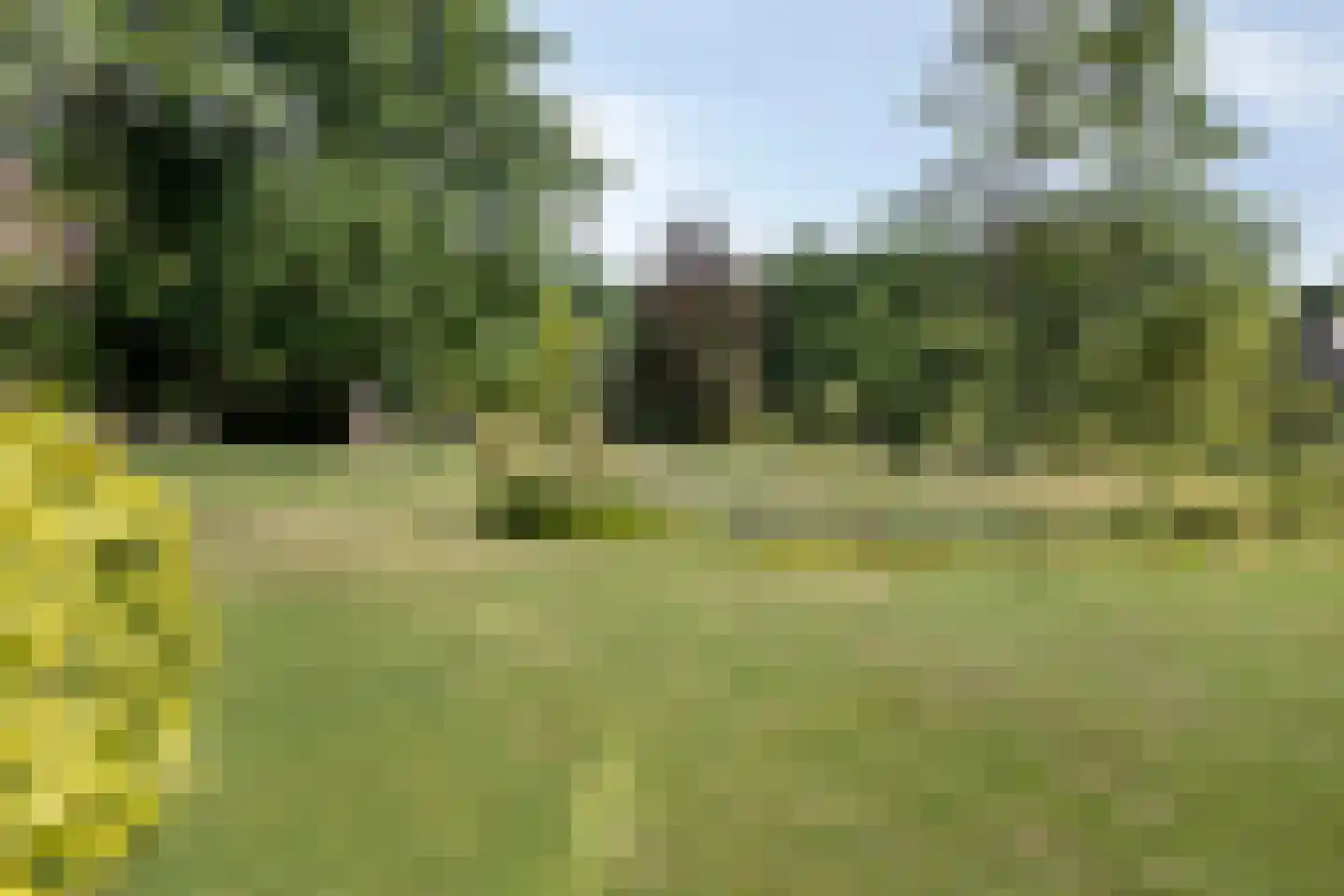 De Cloese 1 a Lochem thumbnail 47