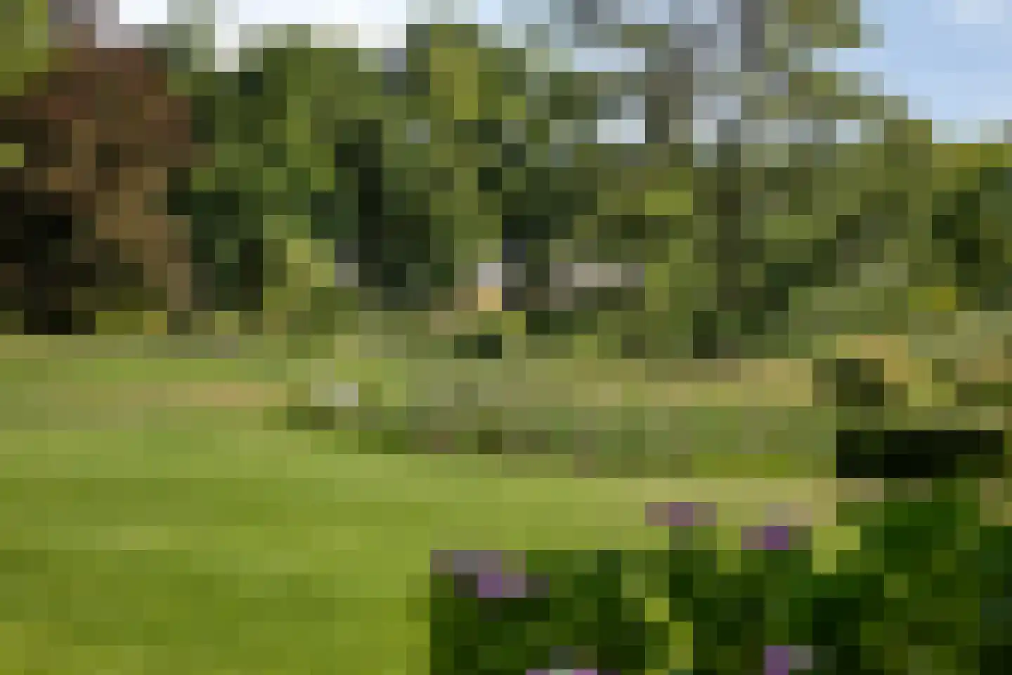 De Cloese 1 a Lochem thumbnail 48