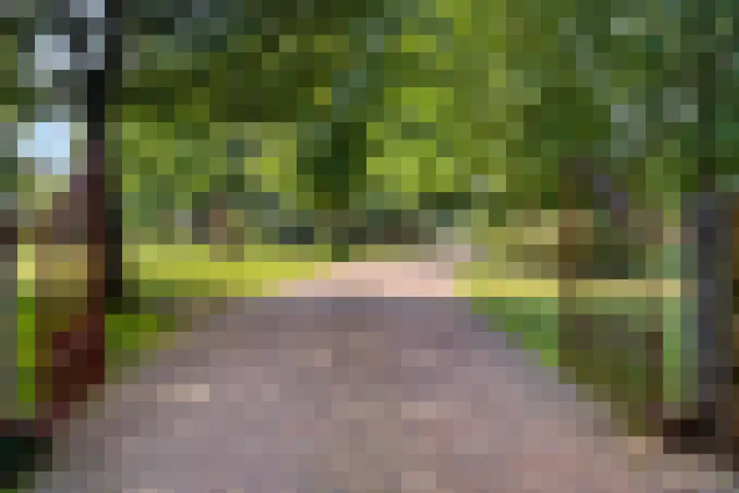 De Cloese 1 a Lochem thumbnail 49