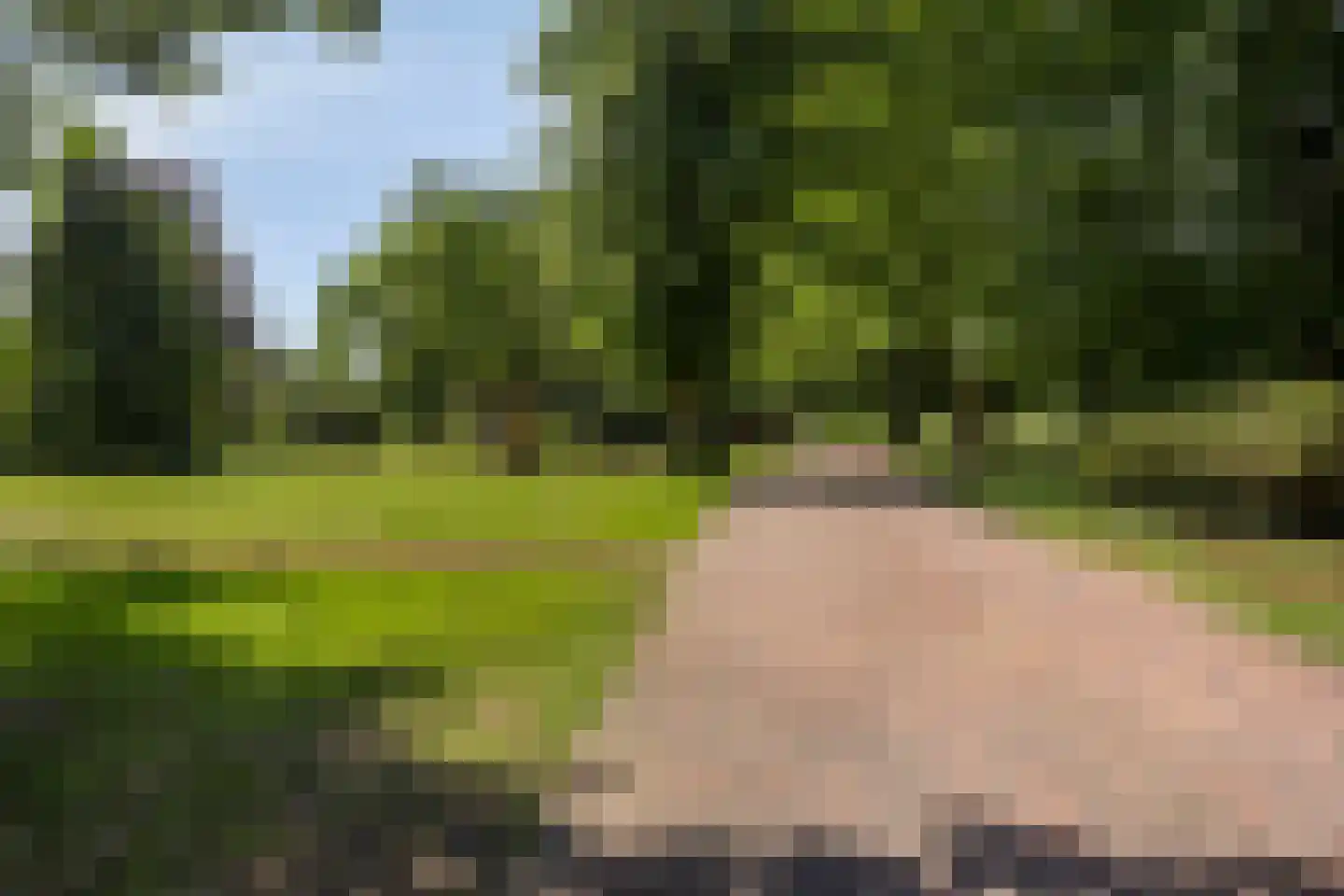 De Cloese 1 a Lochem thumbnail 50
