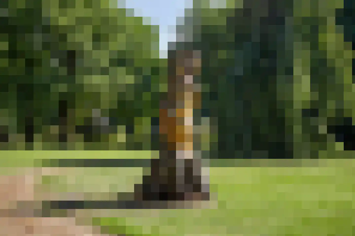 De Cloese 1 a Lochem thumbnail 51