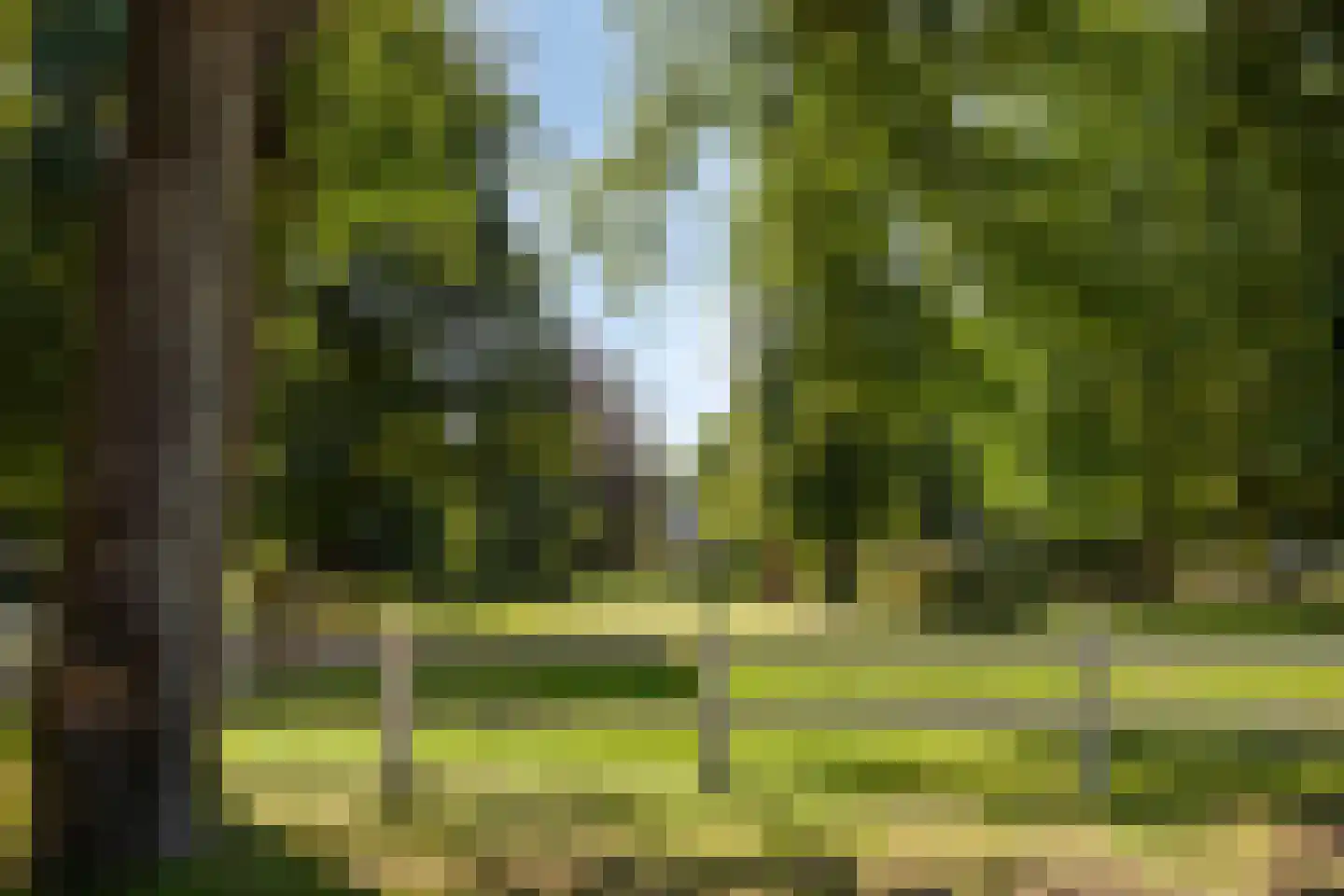 De Cloese 1 a Lochem thumbnail 55