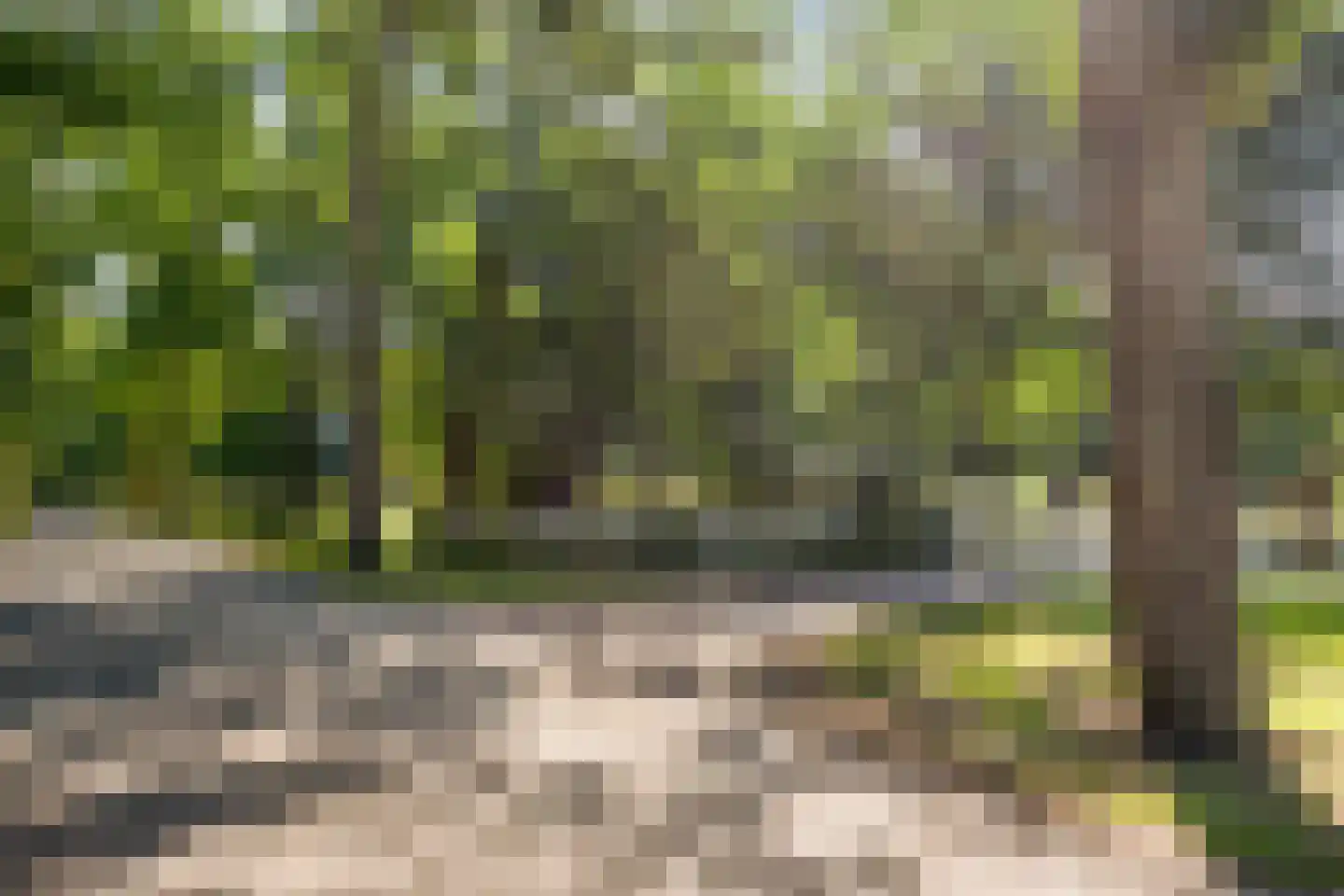 De Cloese 1 a Lochem thumbnail 56