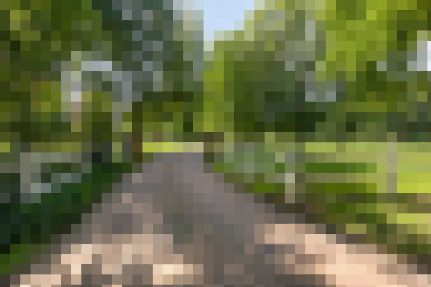 De Cloese 1 a Lochem thumbnail 57