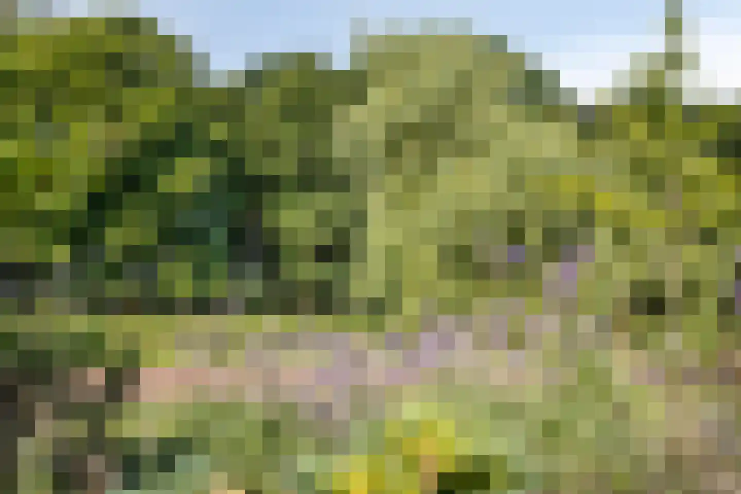 De Cloese 1 a Lochem thumbnail 58