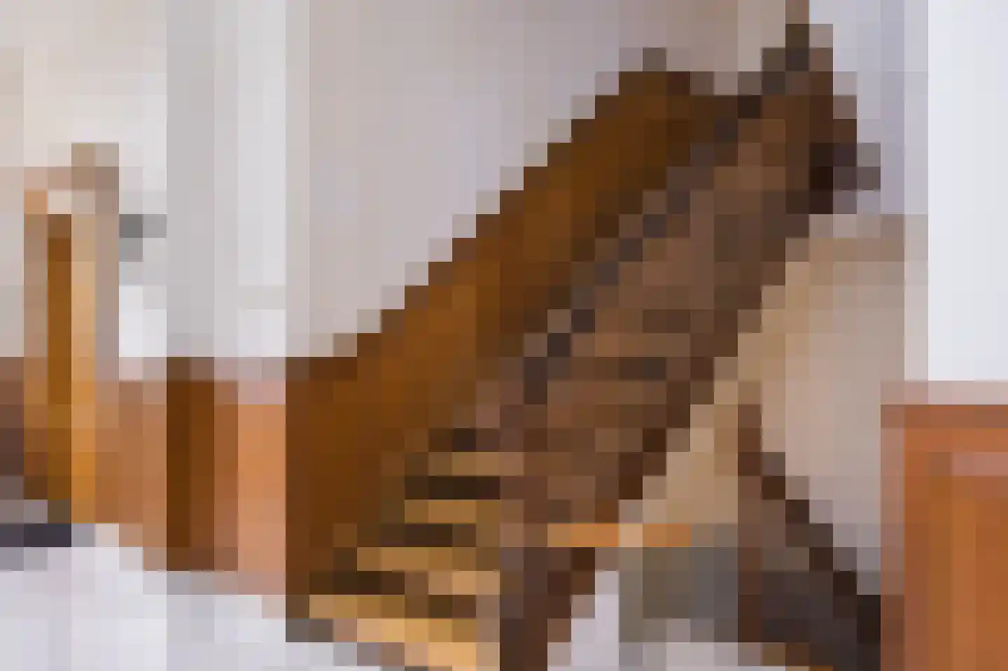 De Cloese 1 a Lochem thumbnail 8