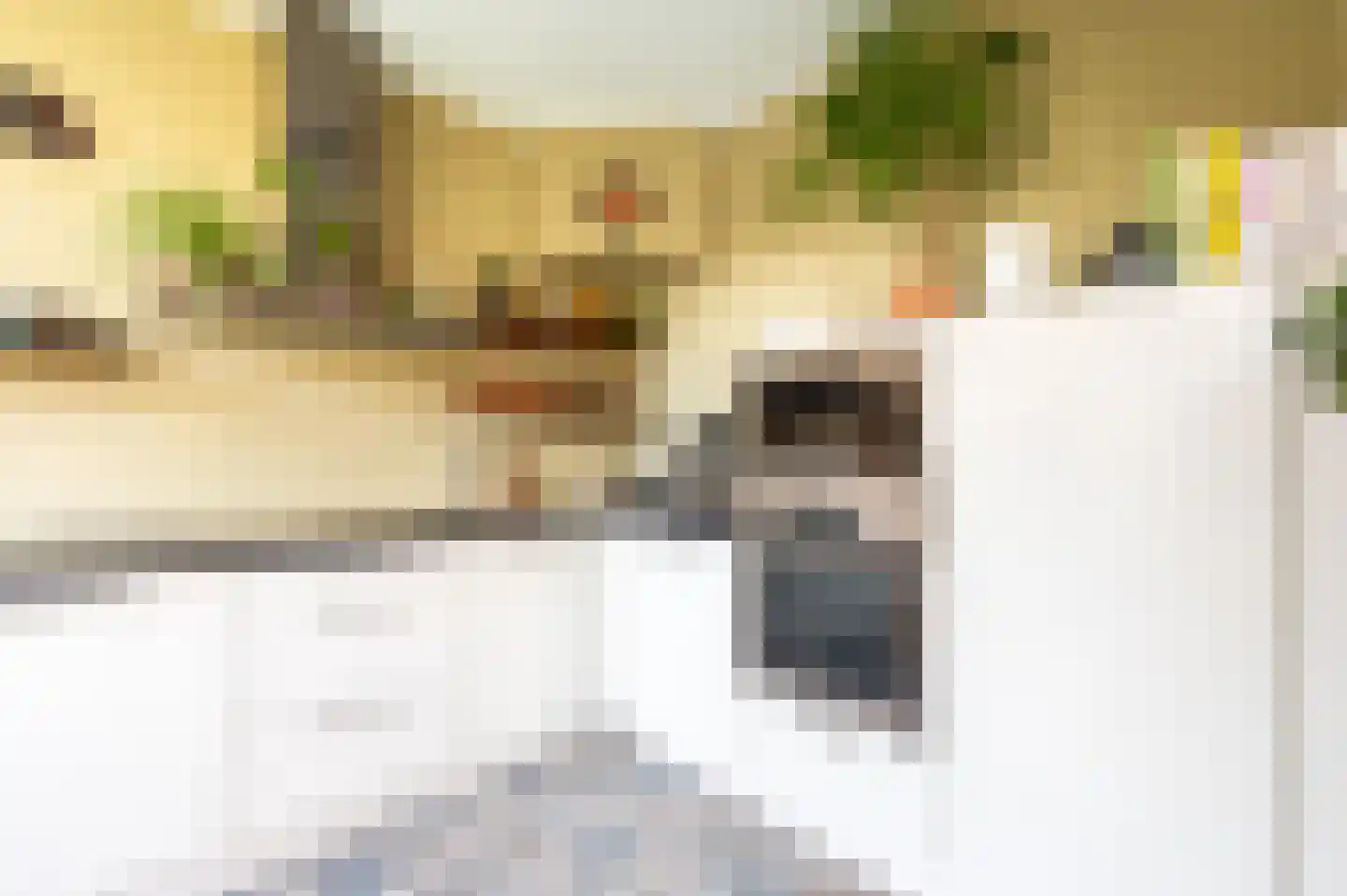 De Cloese 104 Ugchelen thumbnail 13