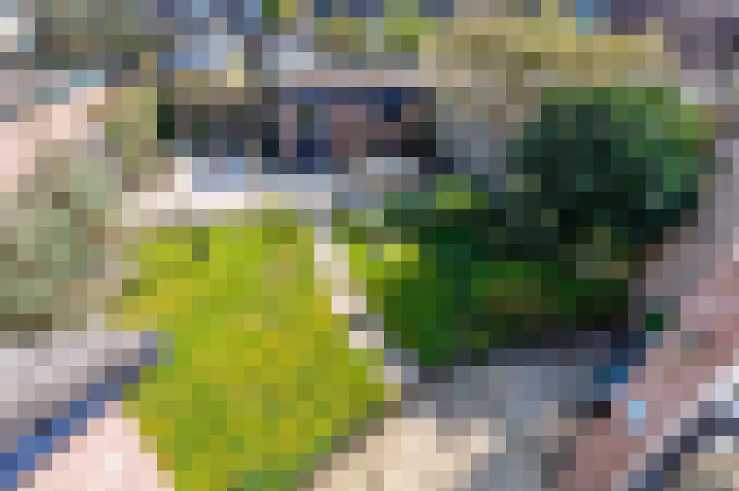 De Cloese 104 Ugchelen thumbnail 21