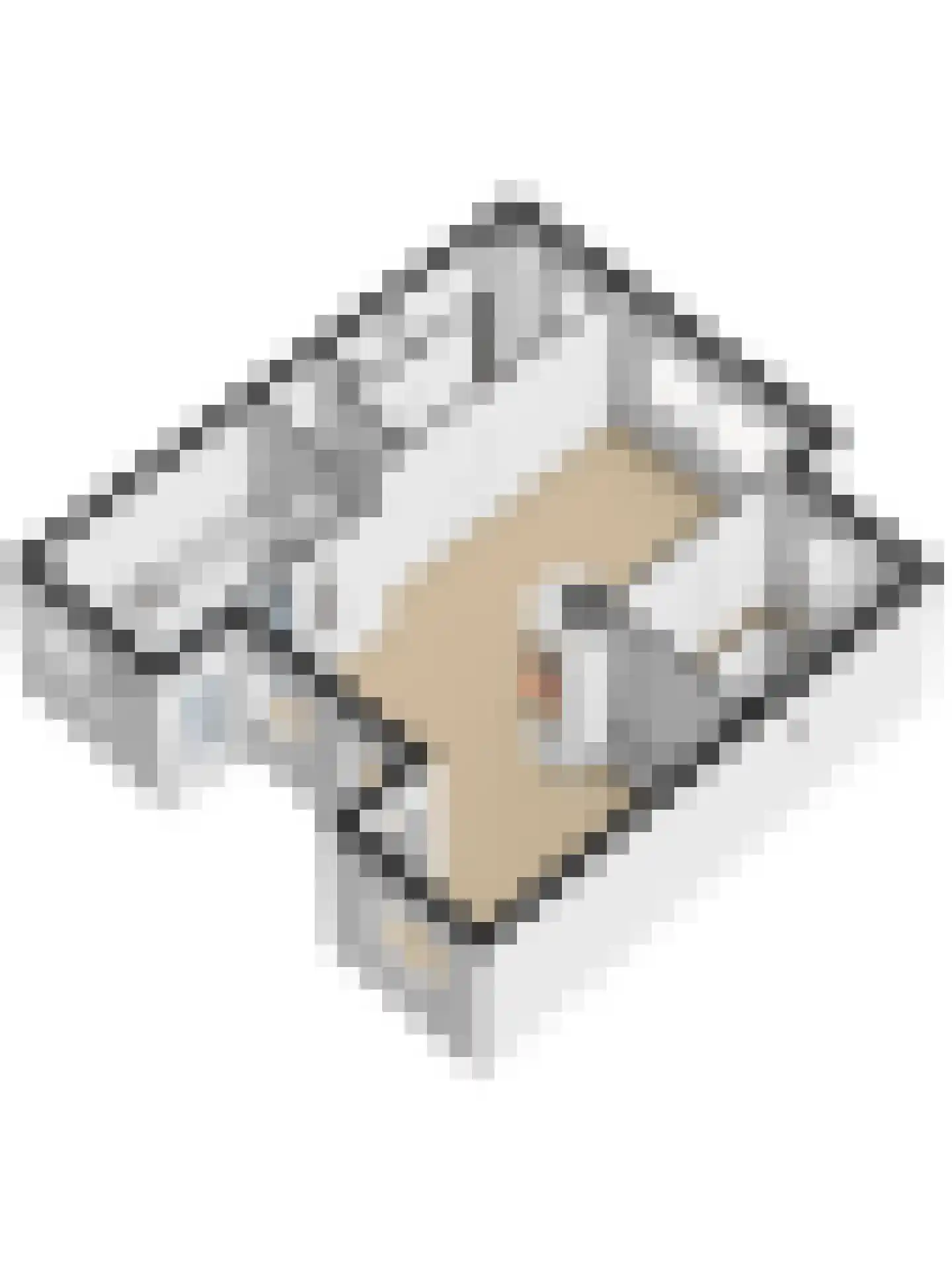 De Cloese 104 Ugchelen thumbnail 39