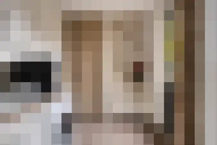 De Cloese 123 Ugchelen thumbnail 12