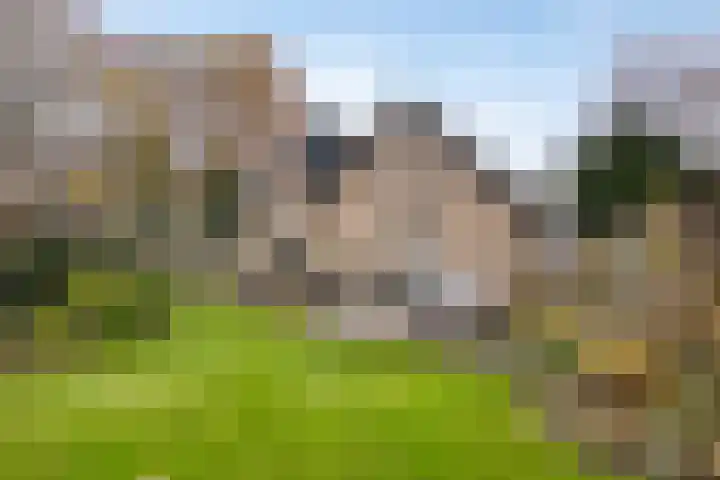 De Cloese 123 Ugchelen thumbnail 15