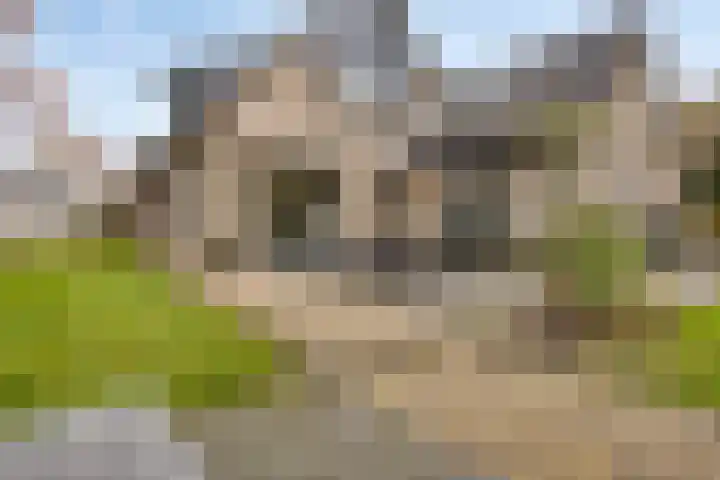 De Cloese 123 Ugchelen thumbnail 16