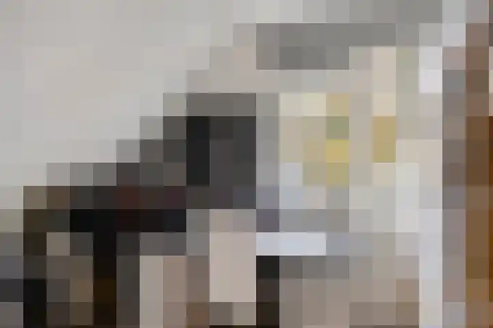 De Cloese 123 Ugchelen thumbnail 30