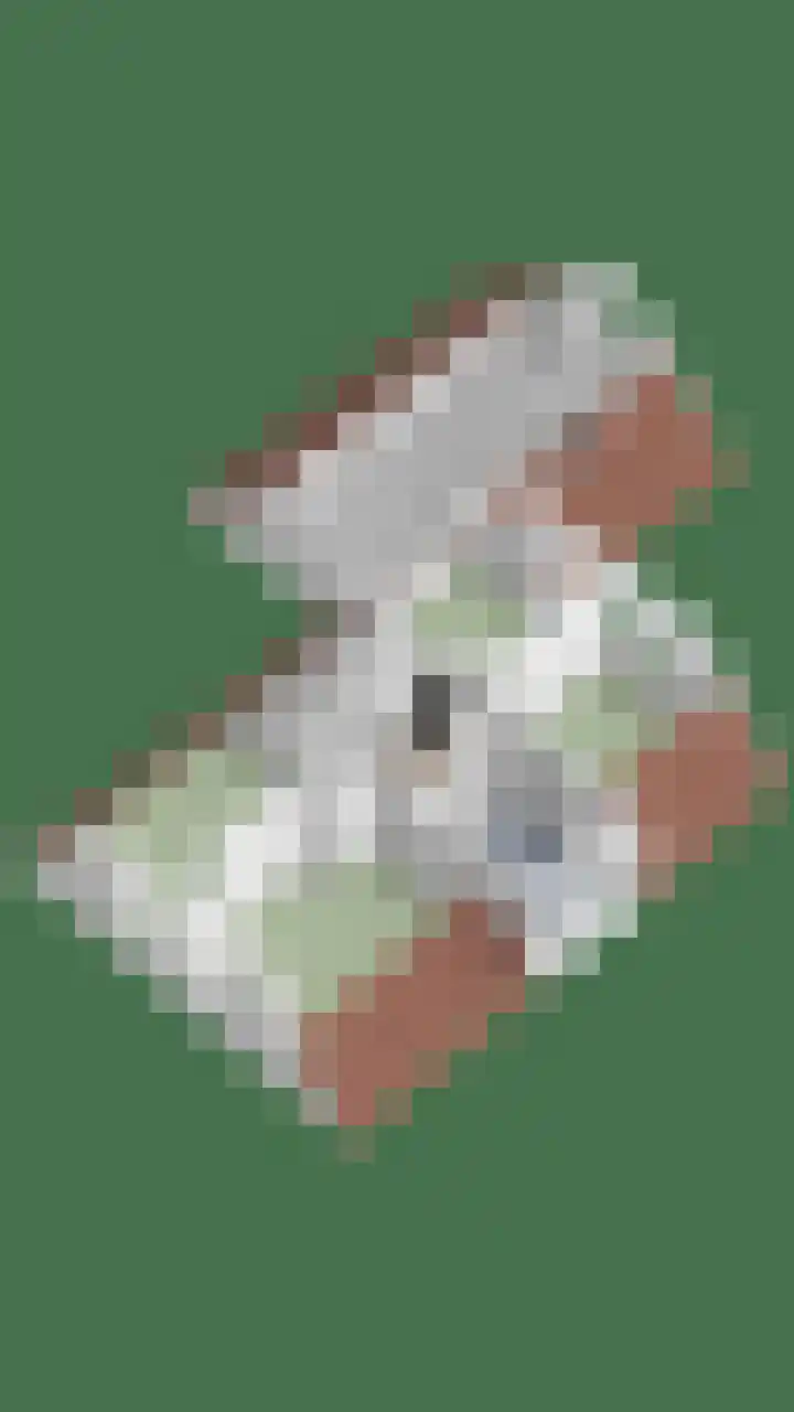 De Cloese 123 Ugchelen thumbnail 42