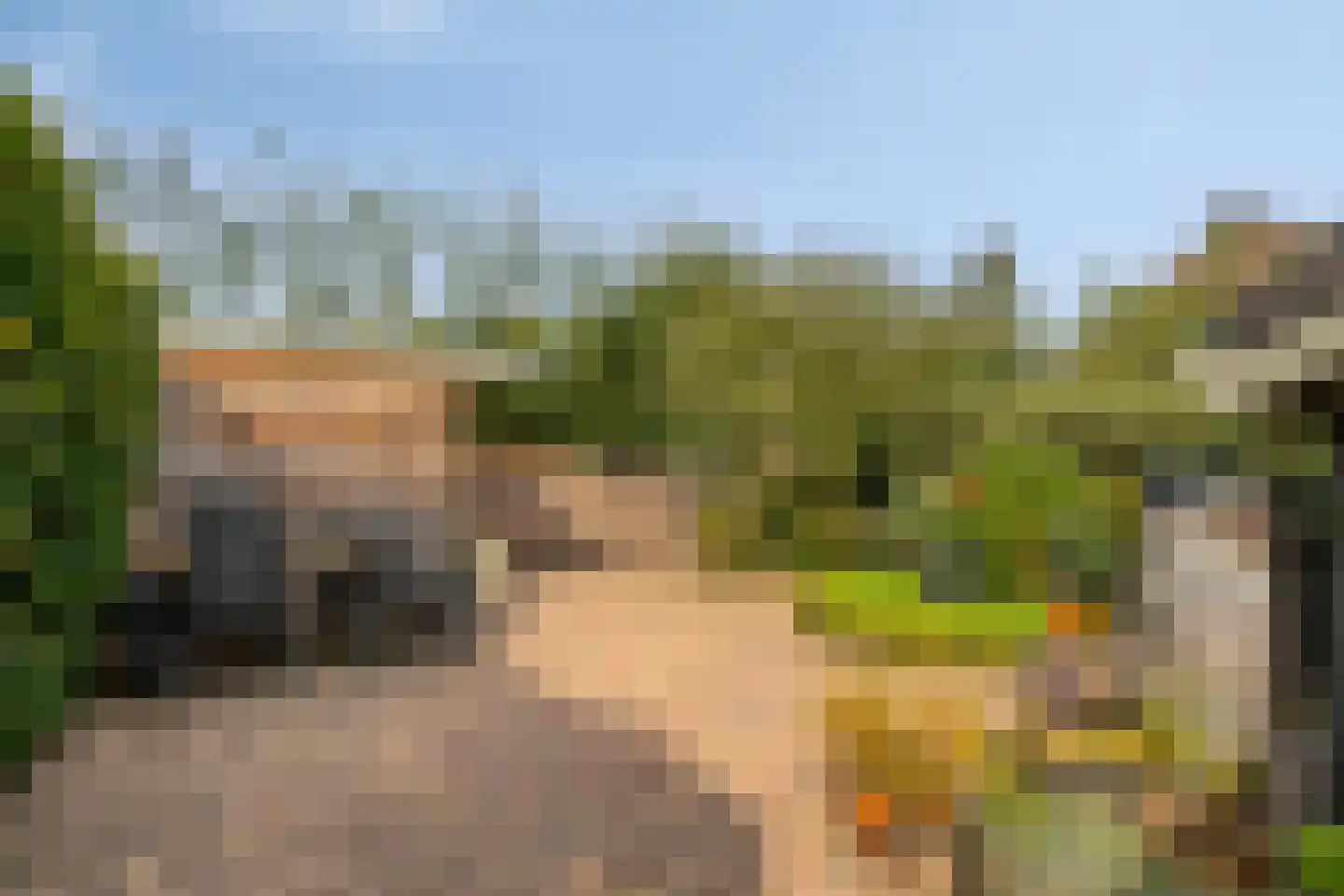 De Cloese 140 Ugchelen thumbnail 14