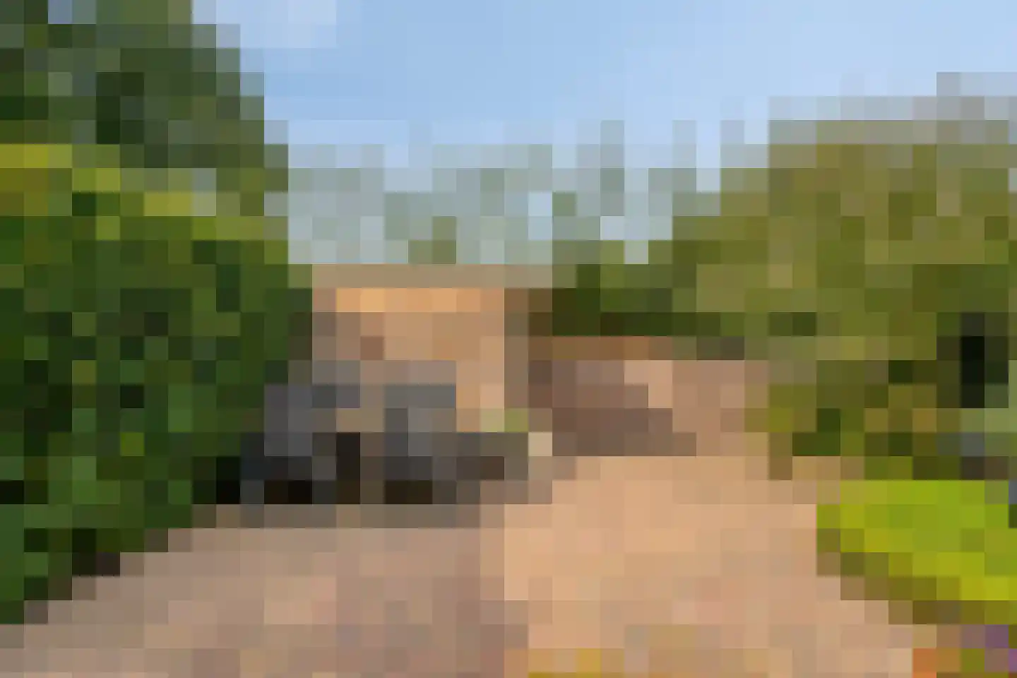 De Cloese 140 Ugchelen thumbnail 15