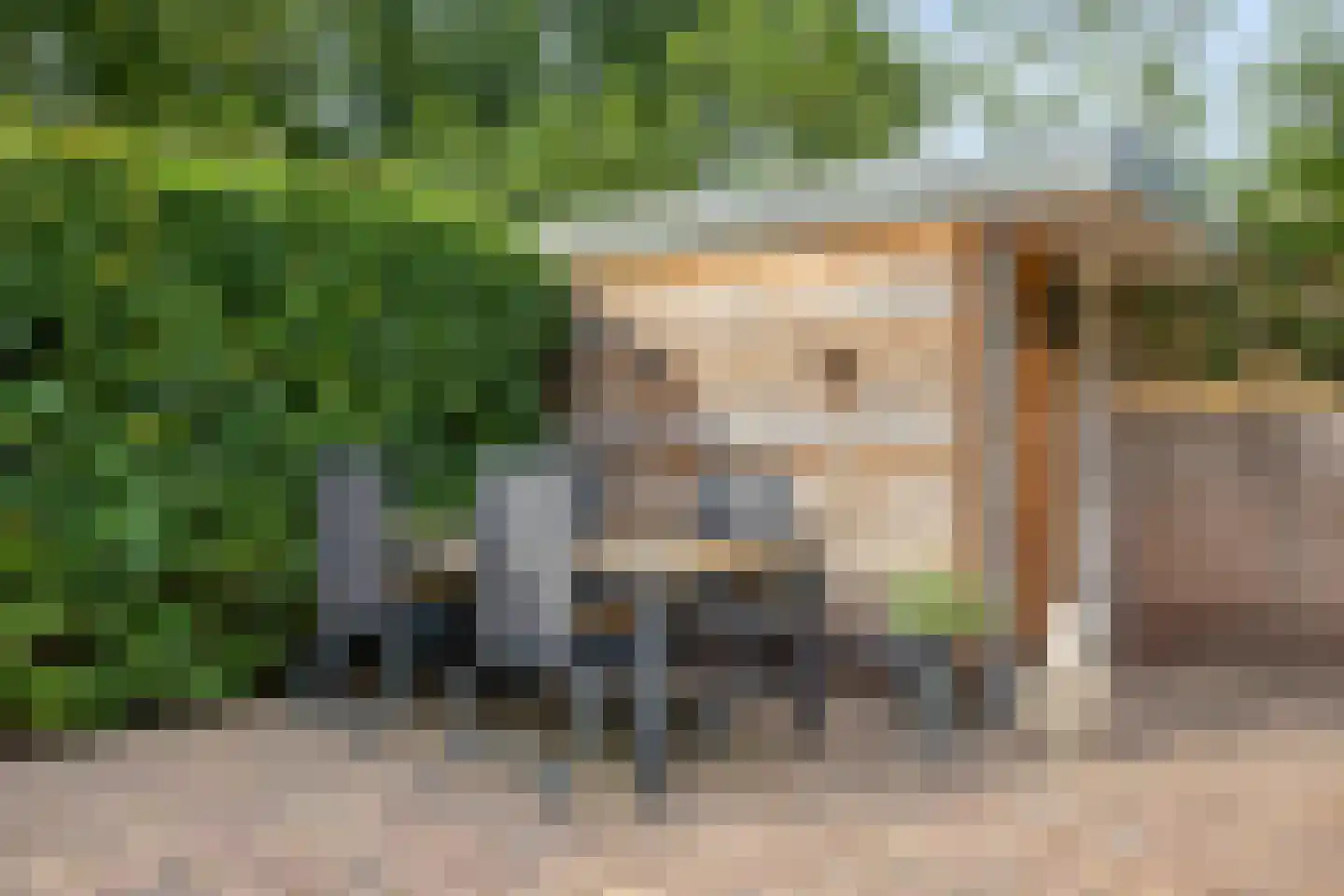 De Cloese 140 Ugchelen thumbnail 16