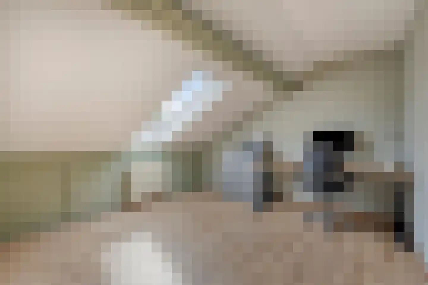 De Cloese 140 Ugchelen thumbnail 27
