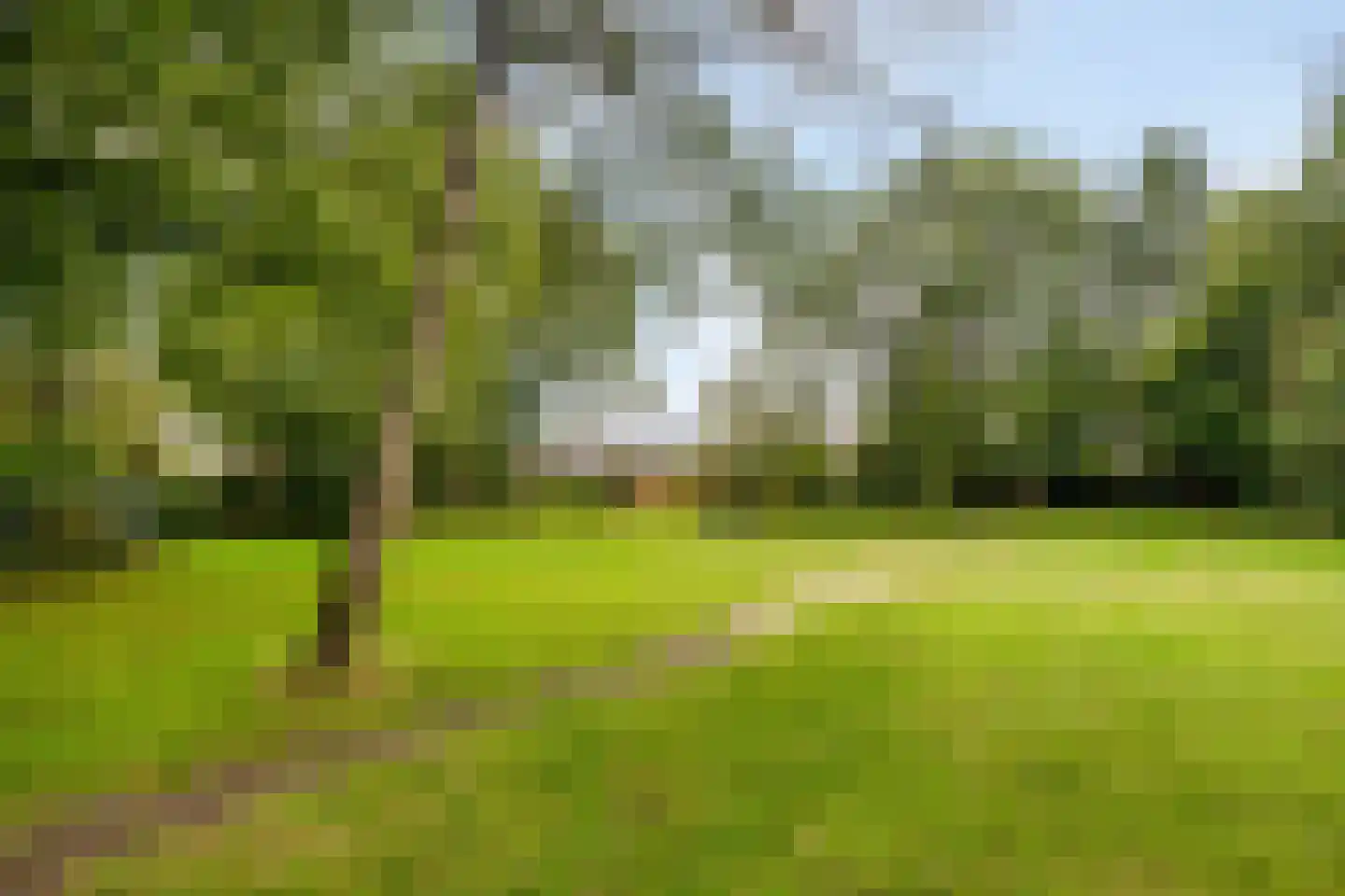 De Cloese 140 Ugchelen thumbnail 33