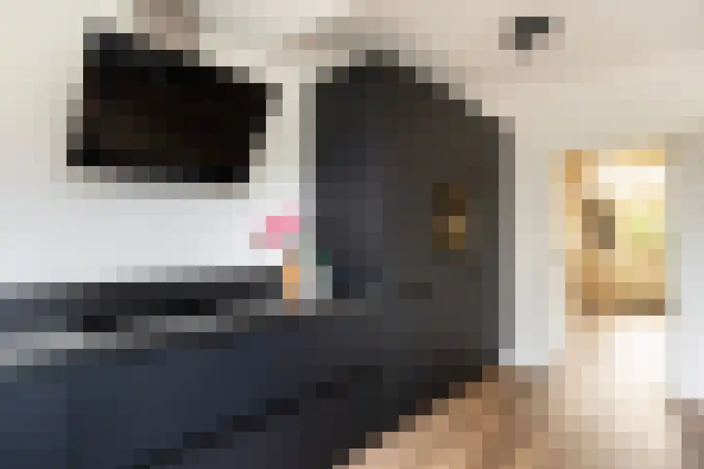 De Cloese 182 Ugchelen thumbnail 17