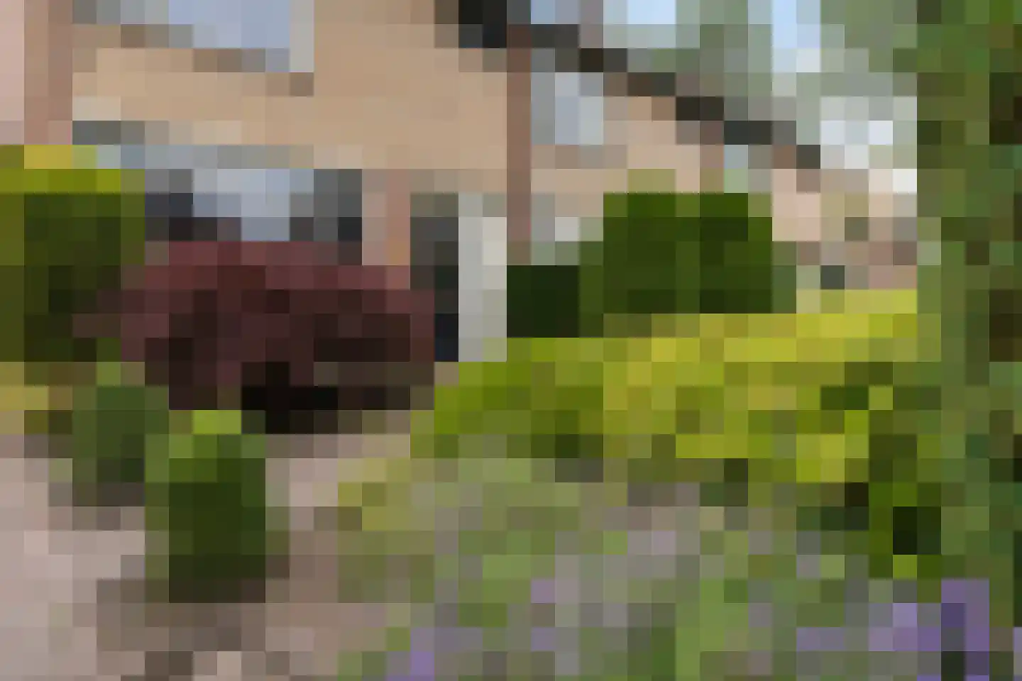 De Cloese 182 Ugchelen thumbnail 4